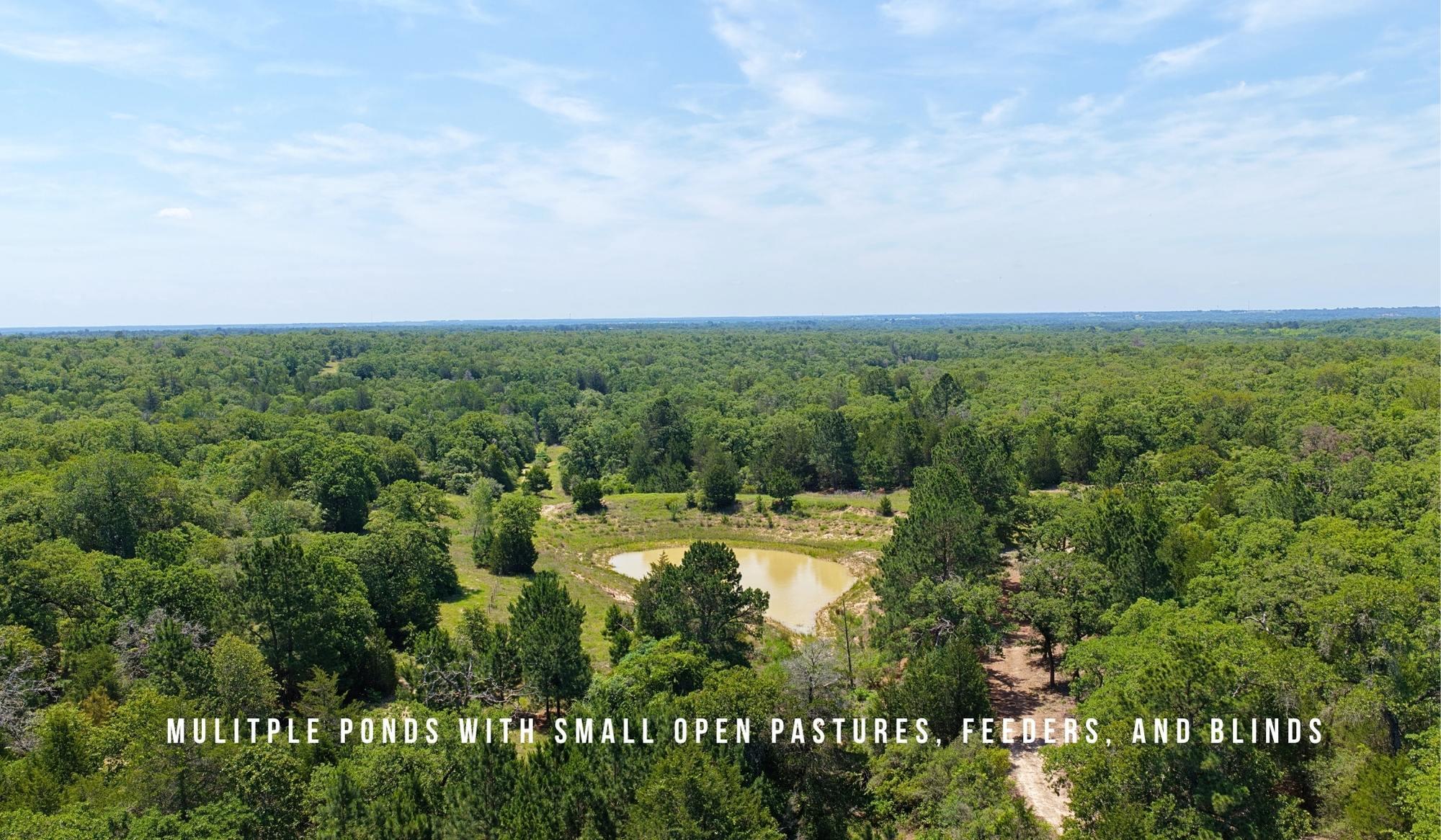 TBD County Road 405 (+/- 839 acres), Lexington, TX 78947