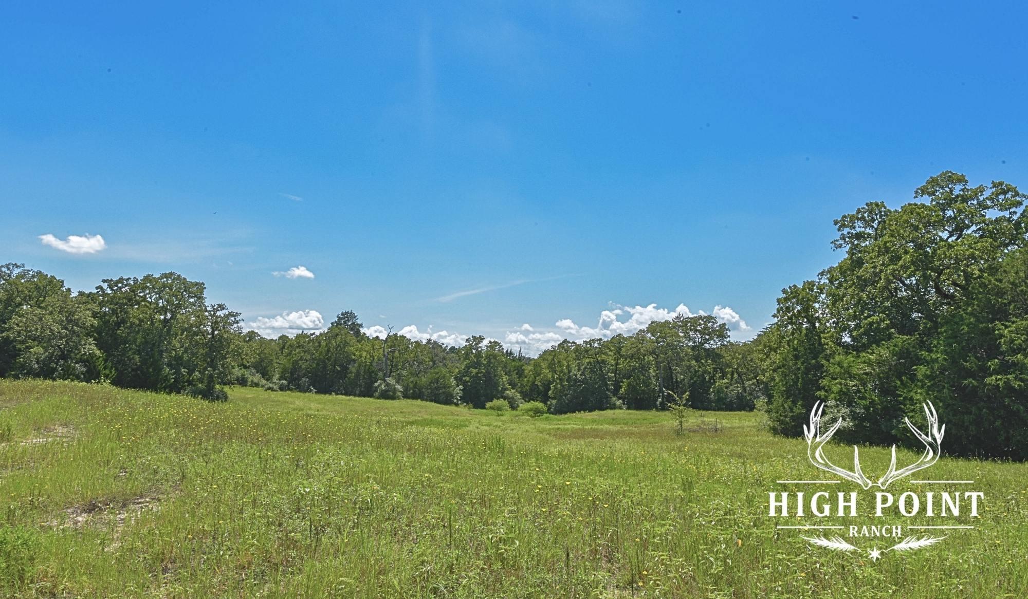 TBD County Road 405 (+/- 839 acres), Lexington, TX 78947