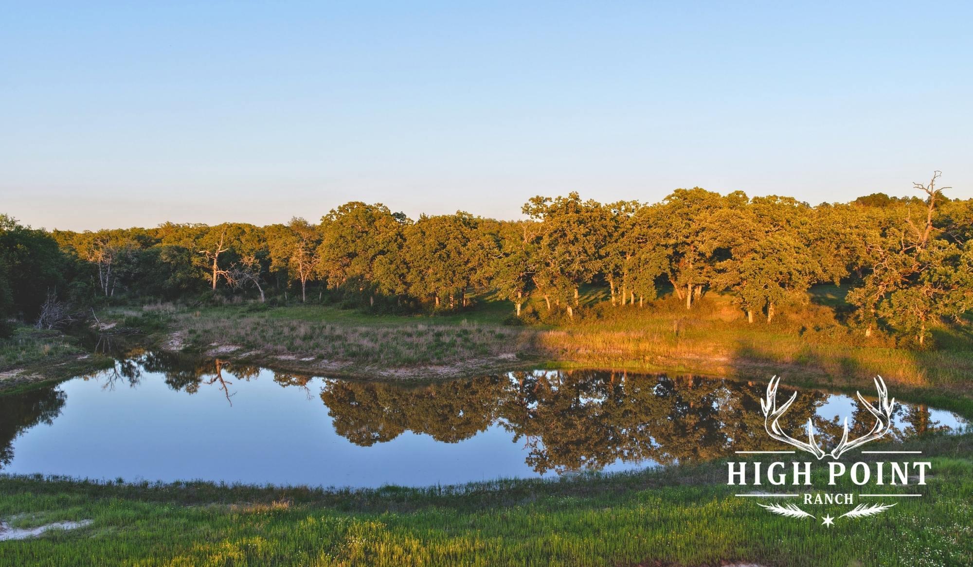 TBD County Road 405 (+/- 839 acres), Lexington, TX 78947