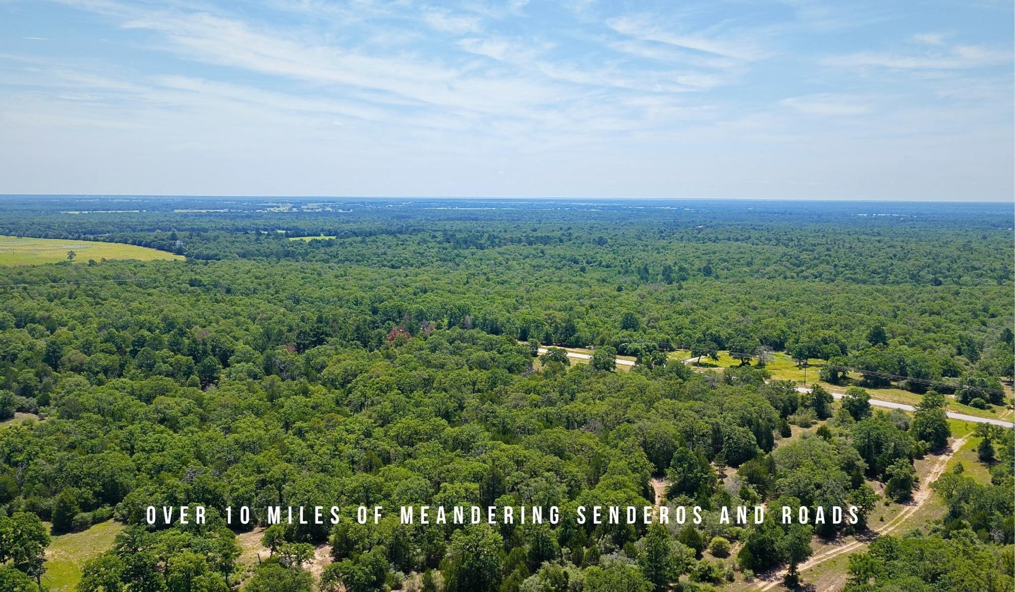 TBD County Road 405 (+/- 839 acres), Lexington, TX 78947