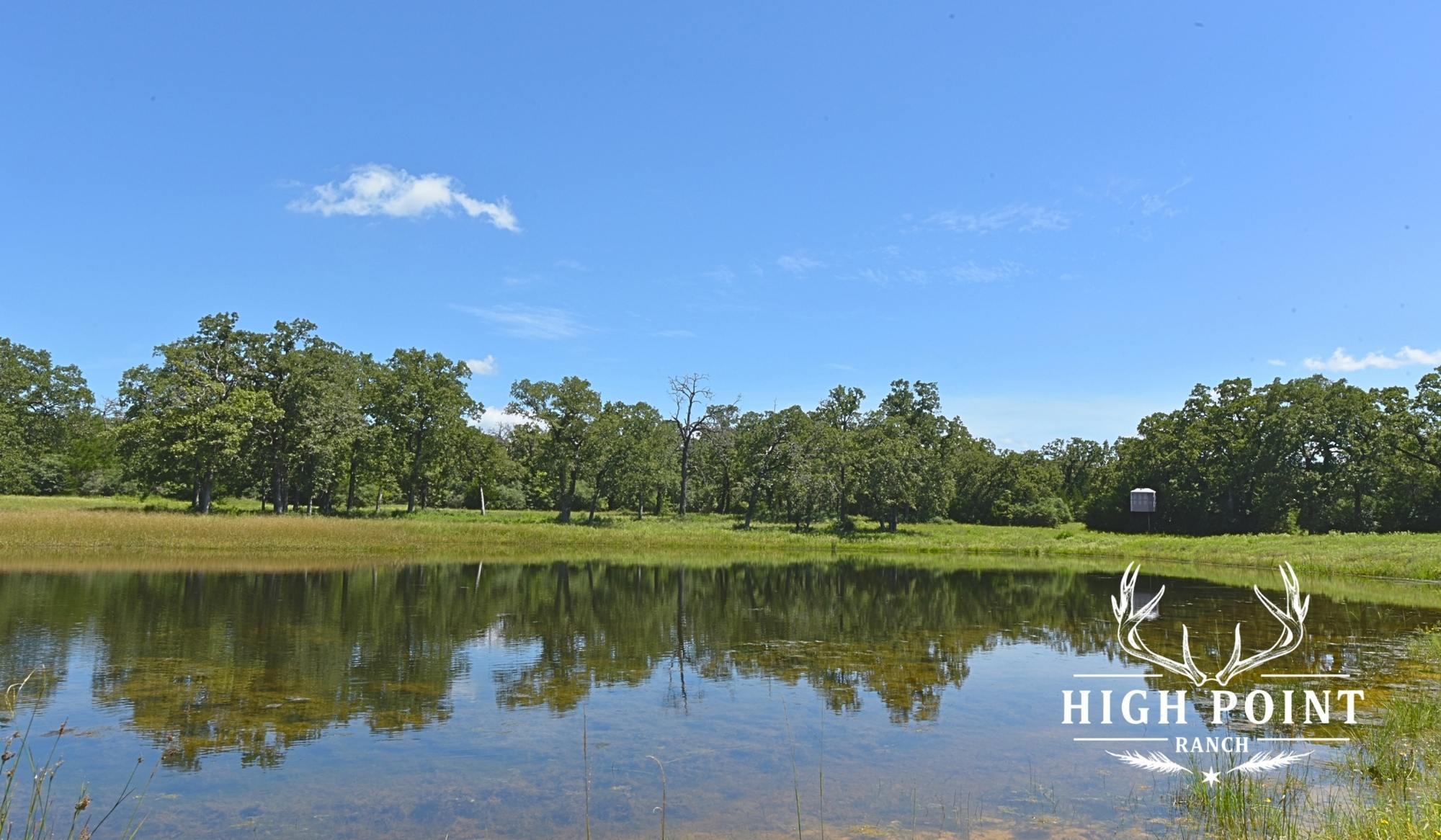TBD County Road 405 (+/- 839 acres), Lexington, TX 78947