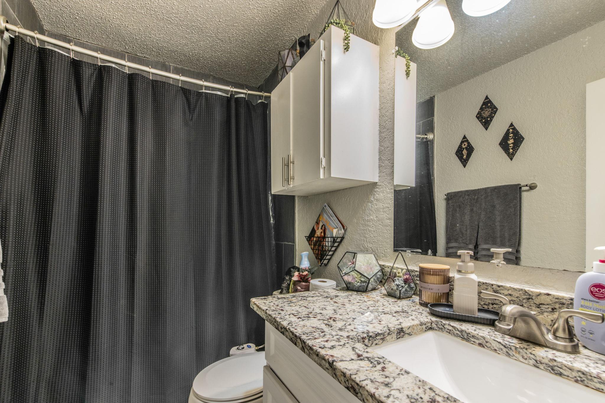 1008 Milford Way, Austin, TX 78745