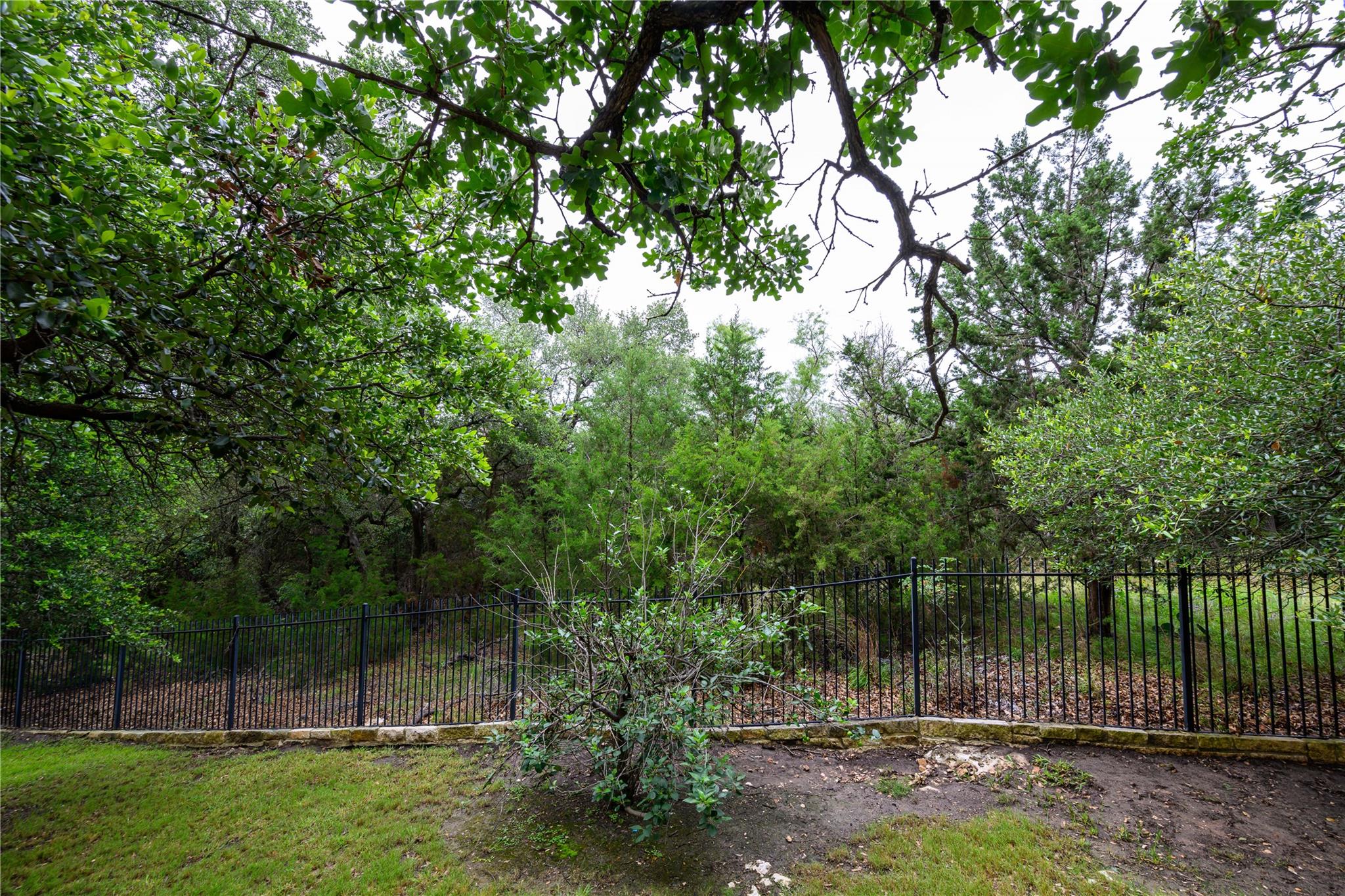 3904 Avery Woods Ln, Cedar Park, TX 78613