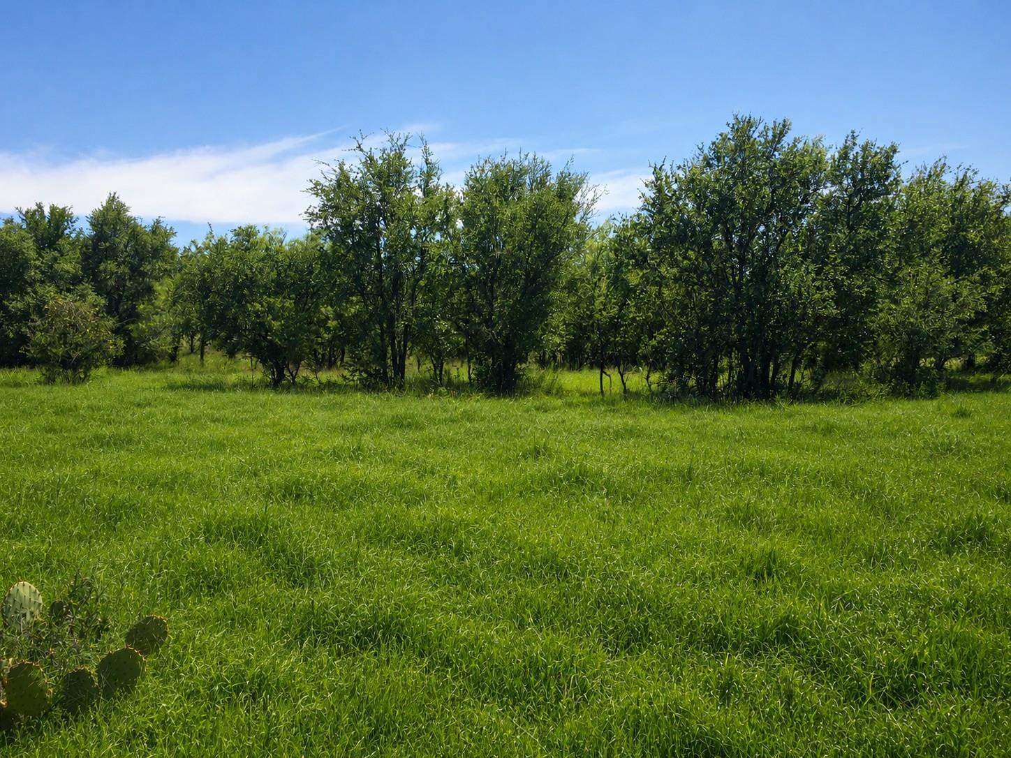TBD E FM 580, Lampasas, TX 76550