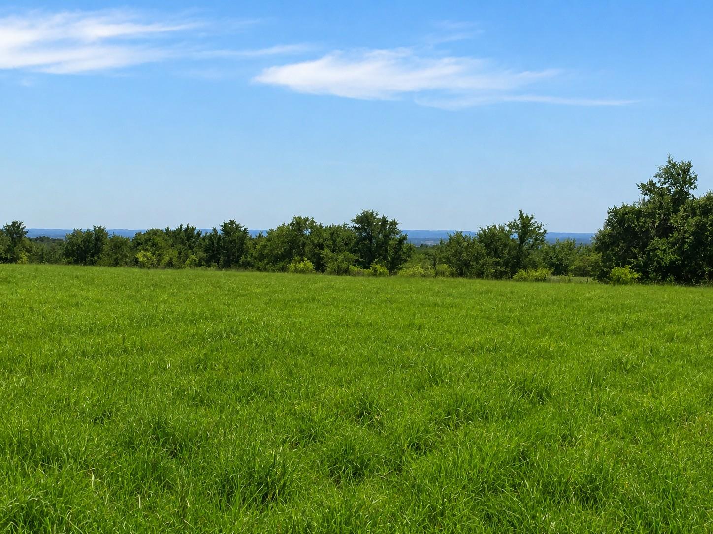 TBD E FM 580, Lampasas, TX 76550