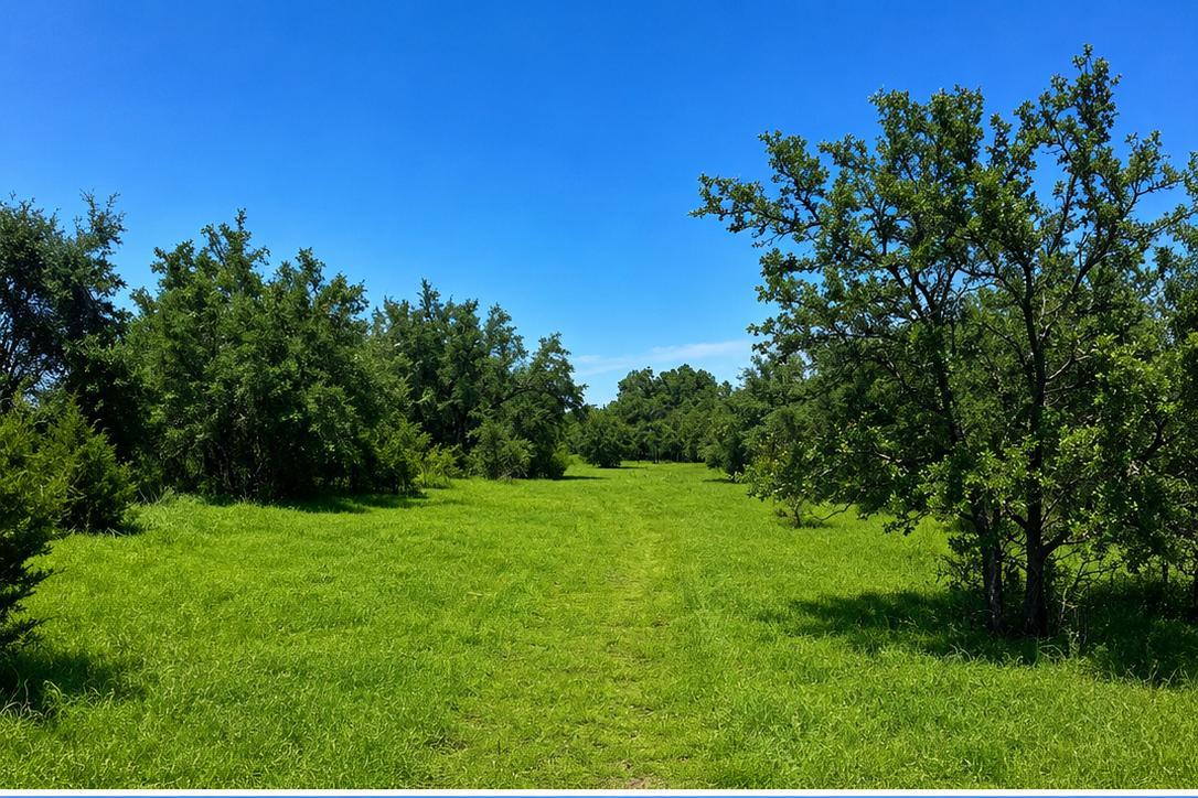 TBD E FM 580, Lampasas, TX 76550