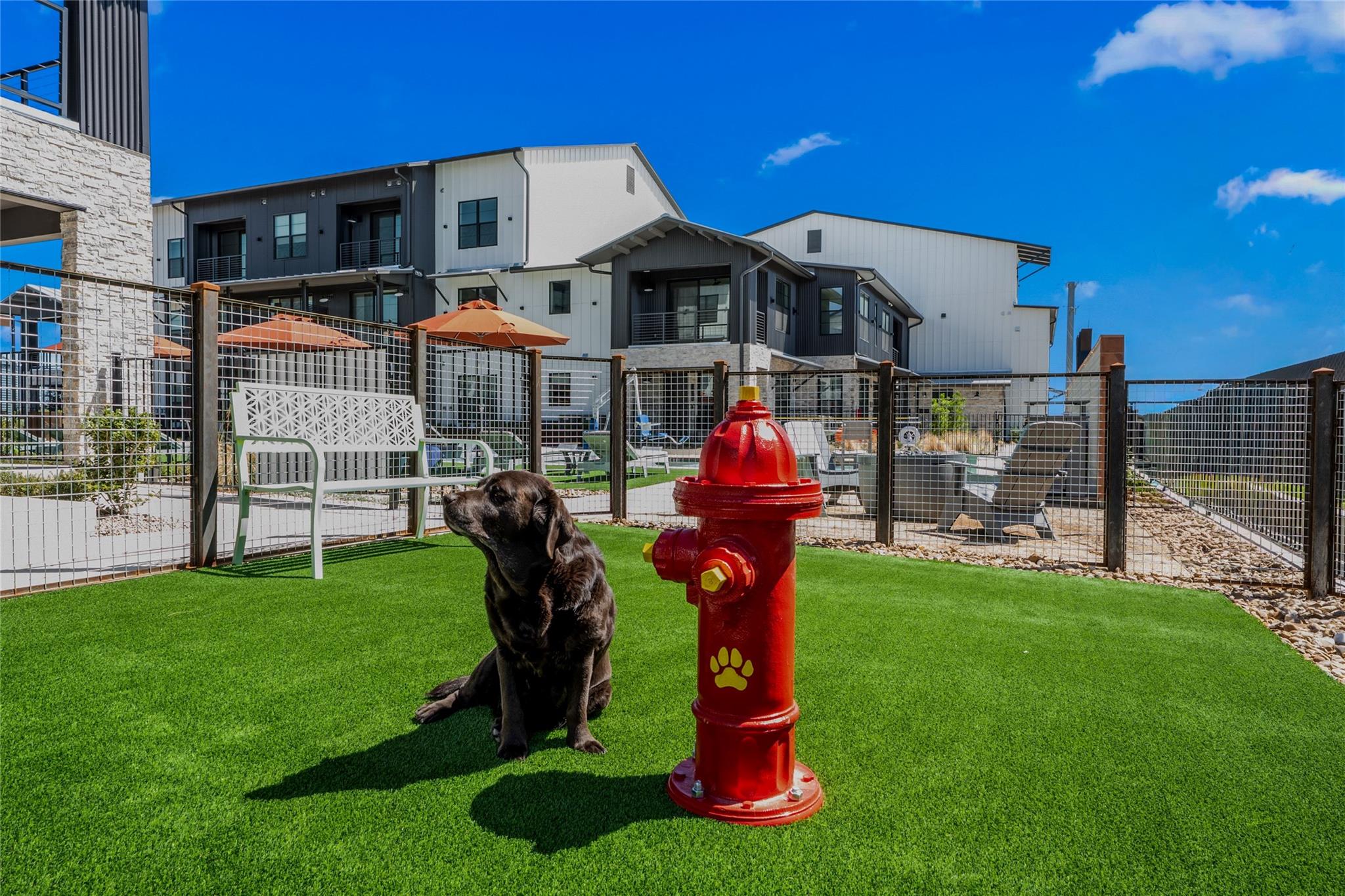 634 Central Pkwy # 1109, New Braunfels, TX 78130