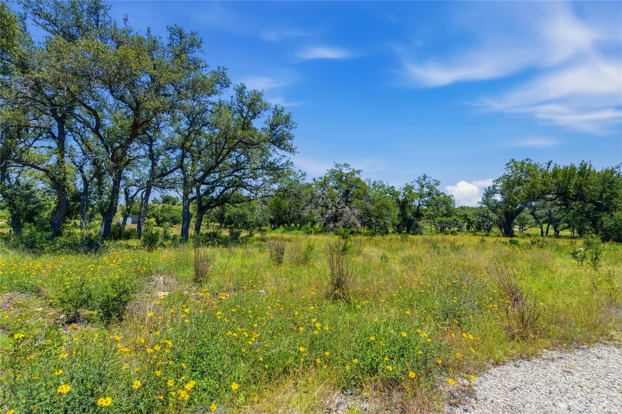 623 Whiskey Trl, Blanco, TX 78606