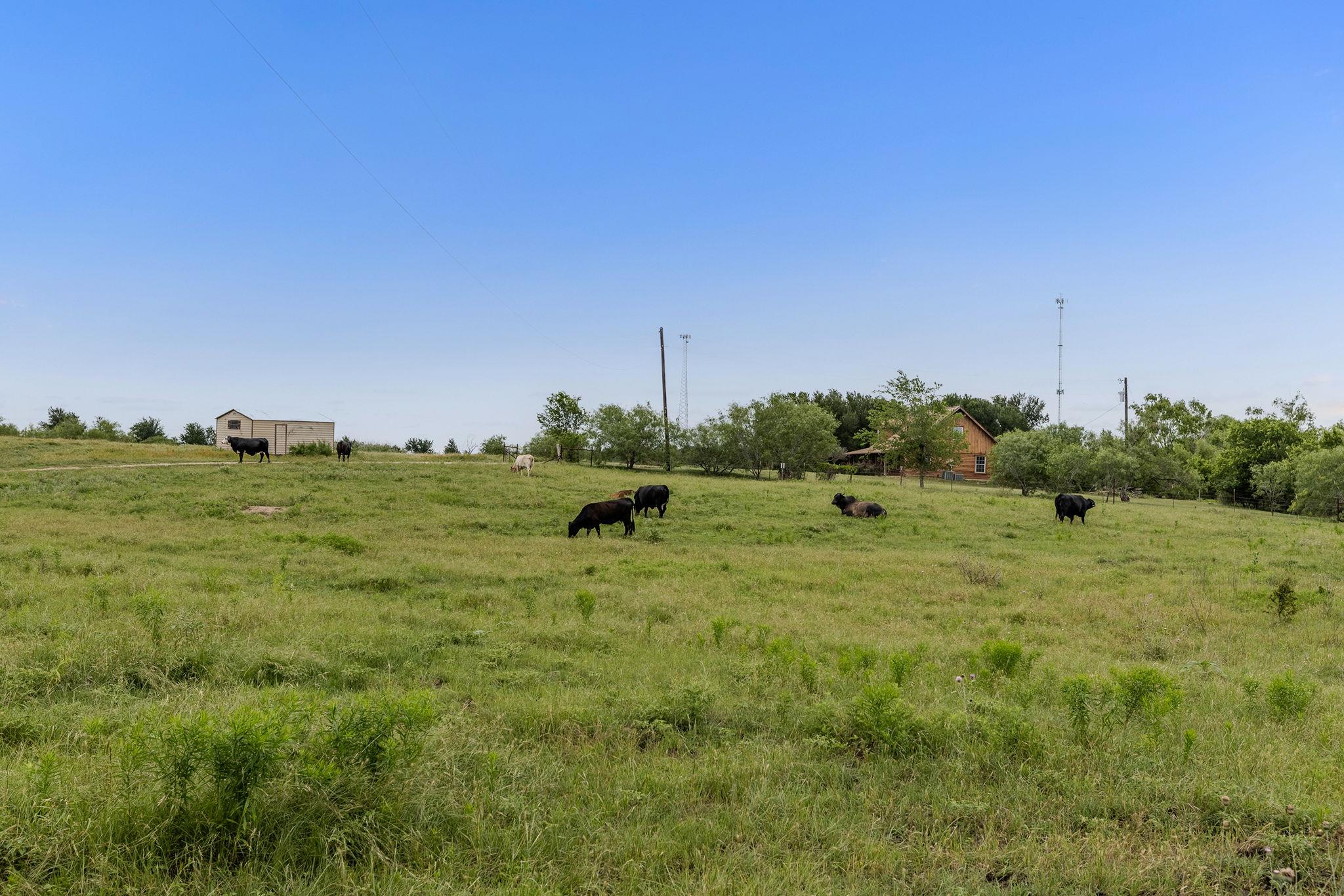 51 County Road 436, Thrall, TX 76578