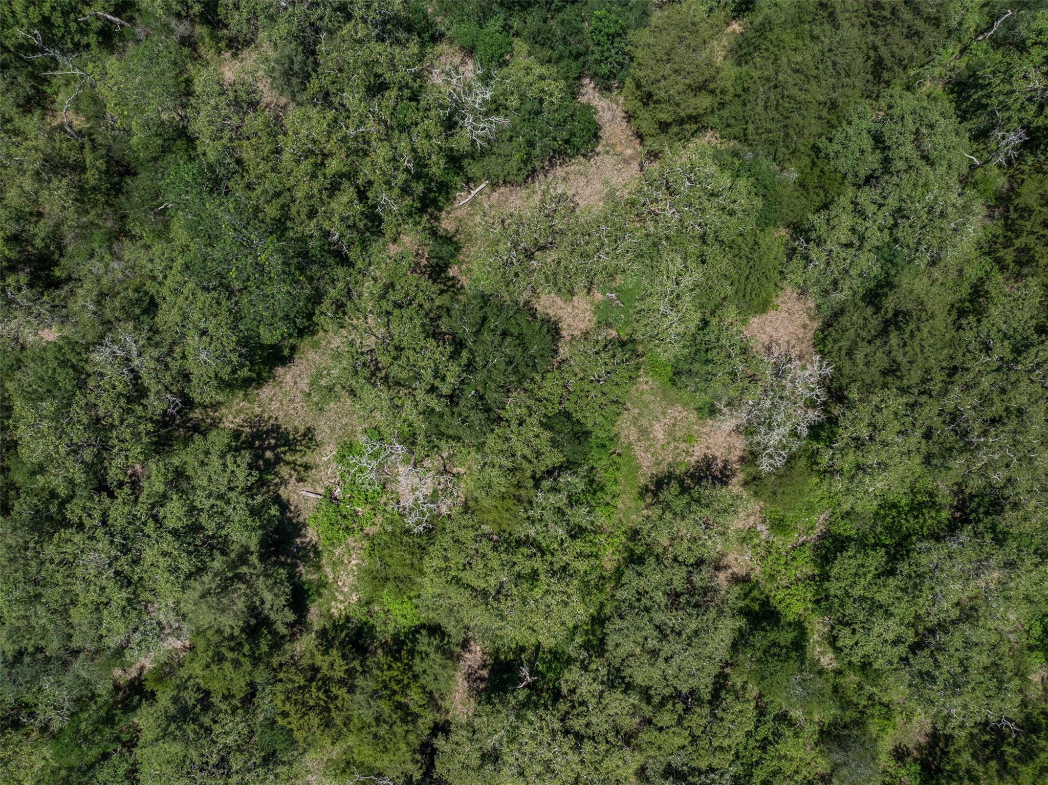 TBD Clay Ln, Brenham, TX 77833