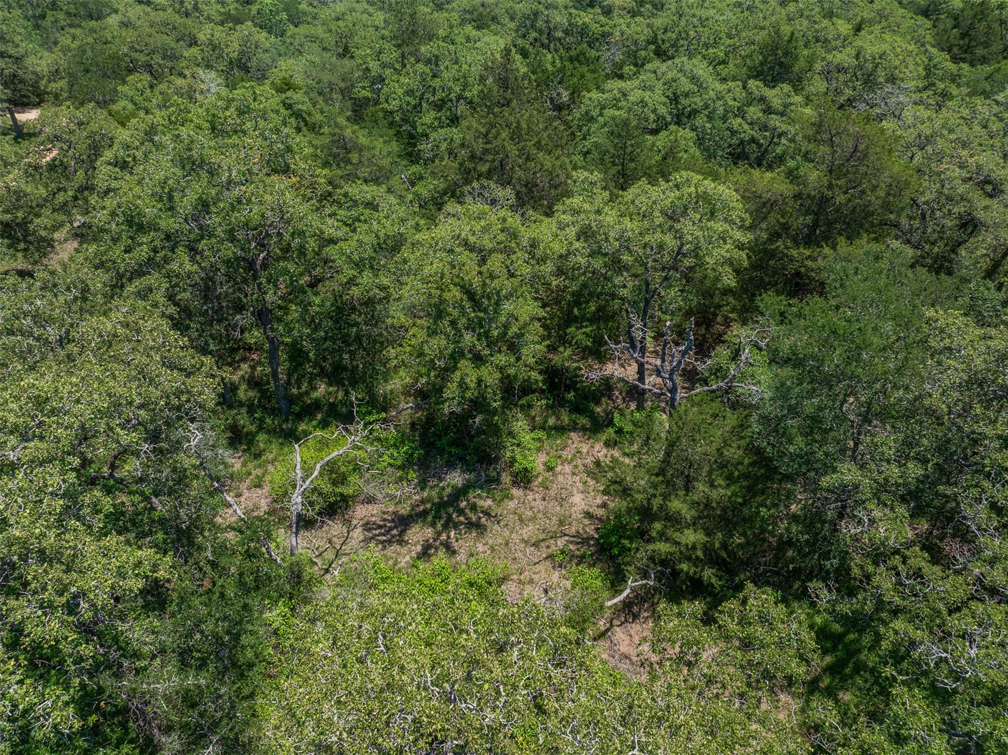 000 Clay Ln, Brenham, TX 77833
