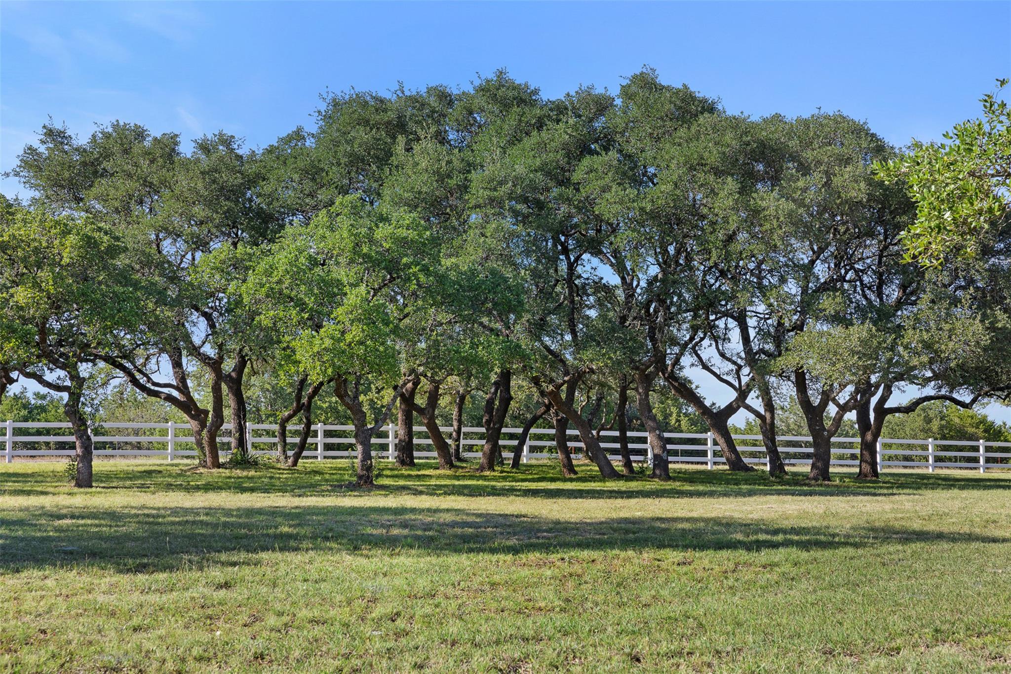 3340 Briggs Rd, Killeen, TX 76549