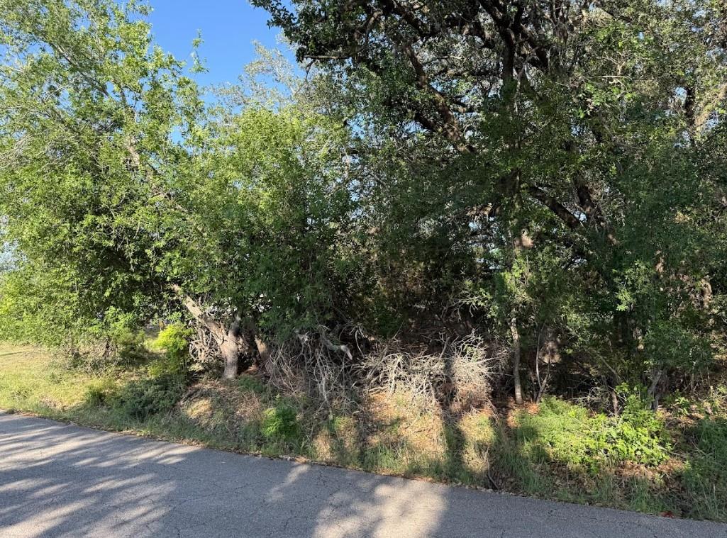 4209 Rockwood Dr, Lago Vista, TX 78645
