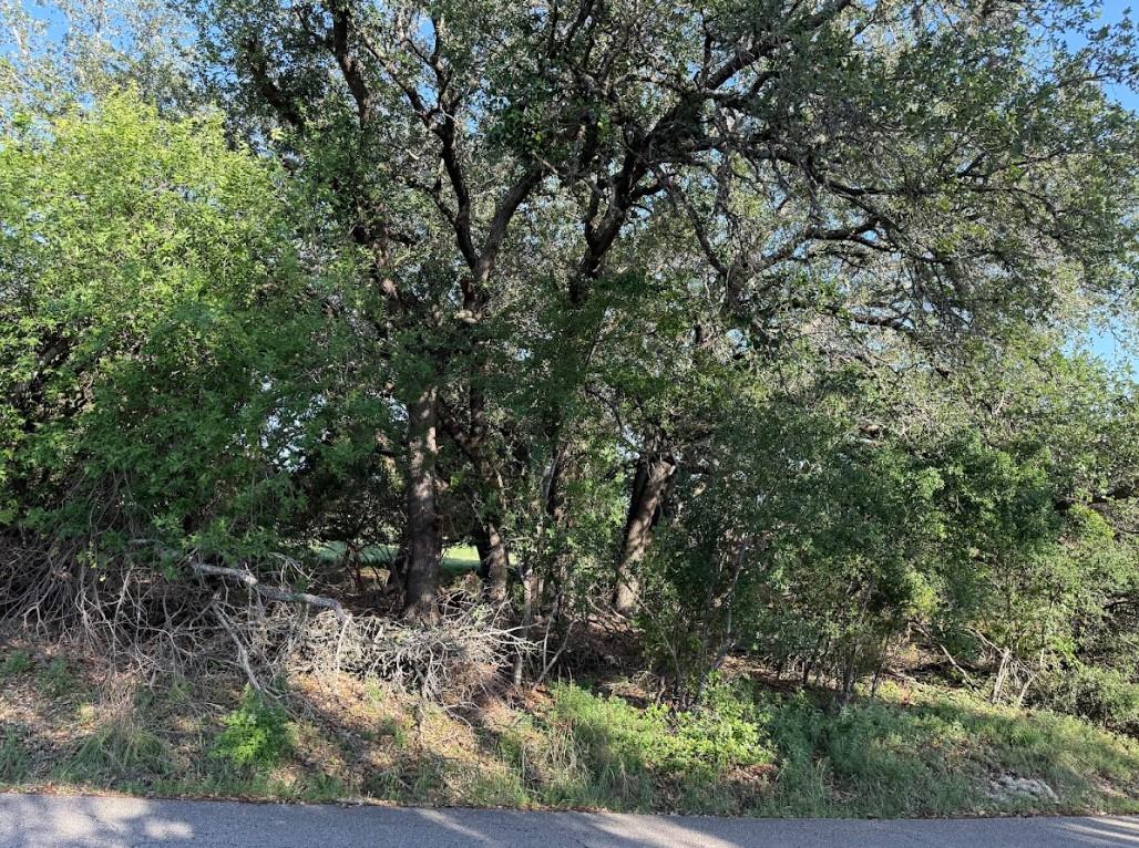 4209 Rockwood Dr, Lago Vista, TX 78645