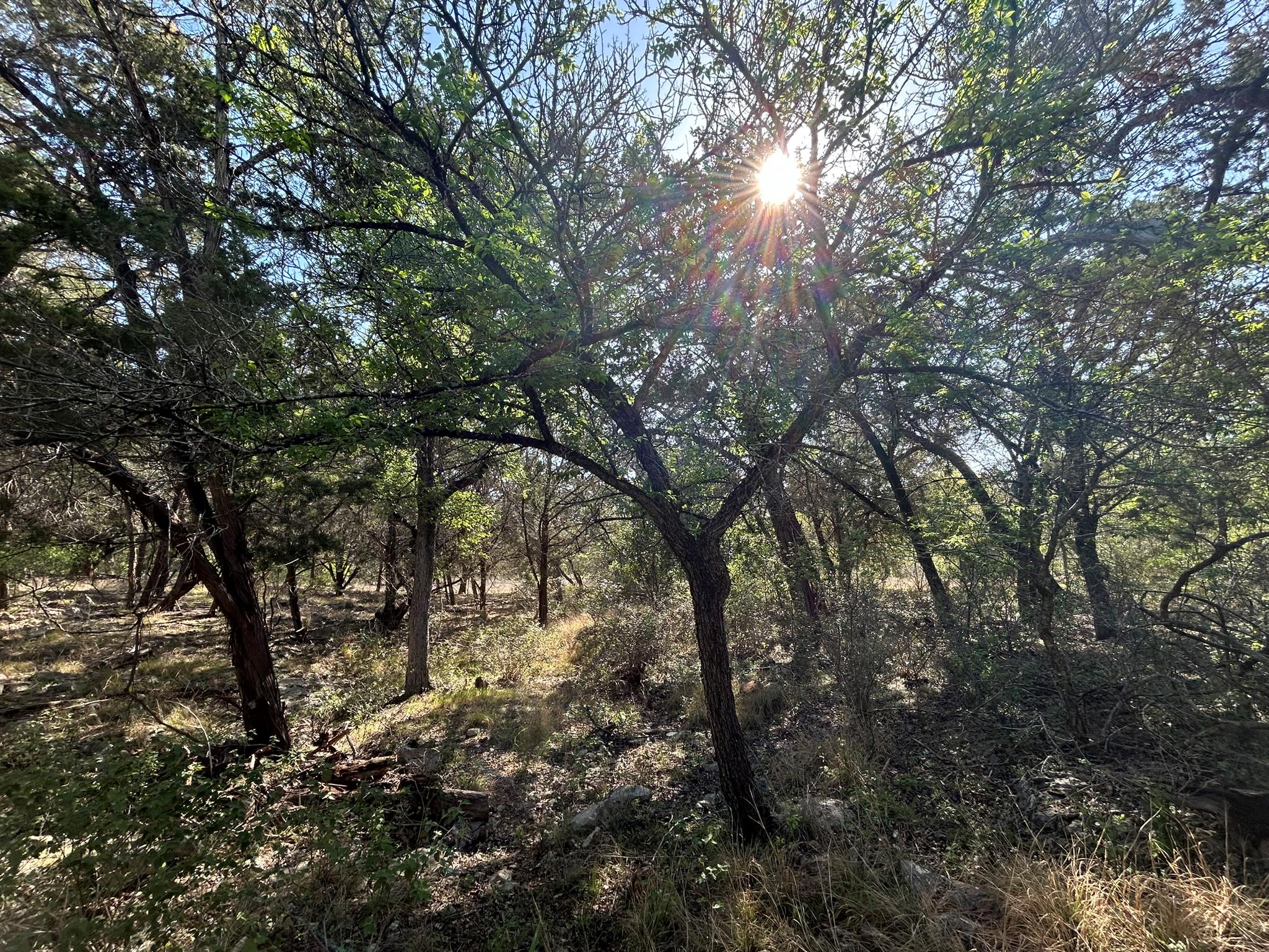 500 Owl Hollow Rd, San Marcos, TX 78666