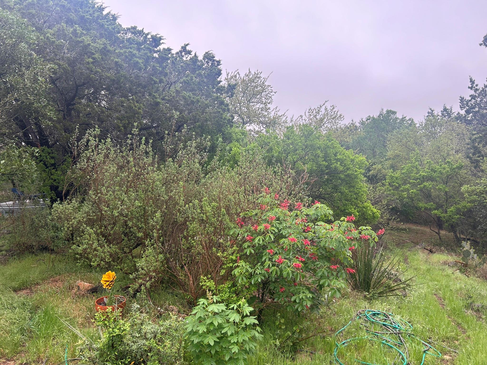 500 Owl Hollow Rd, San Marcos, TX 78666