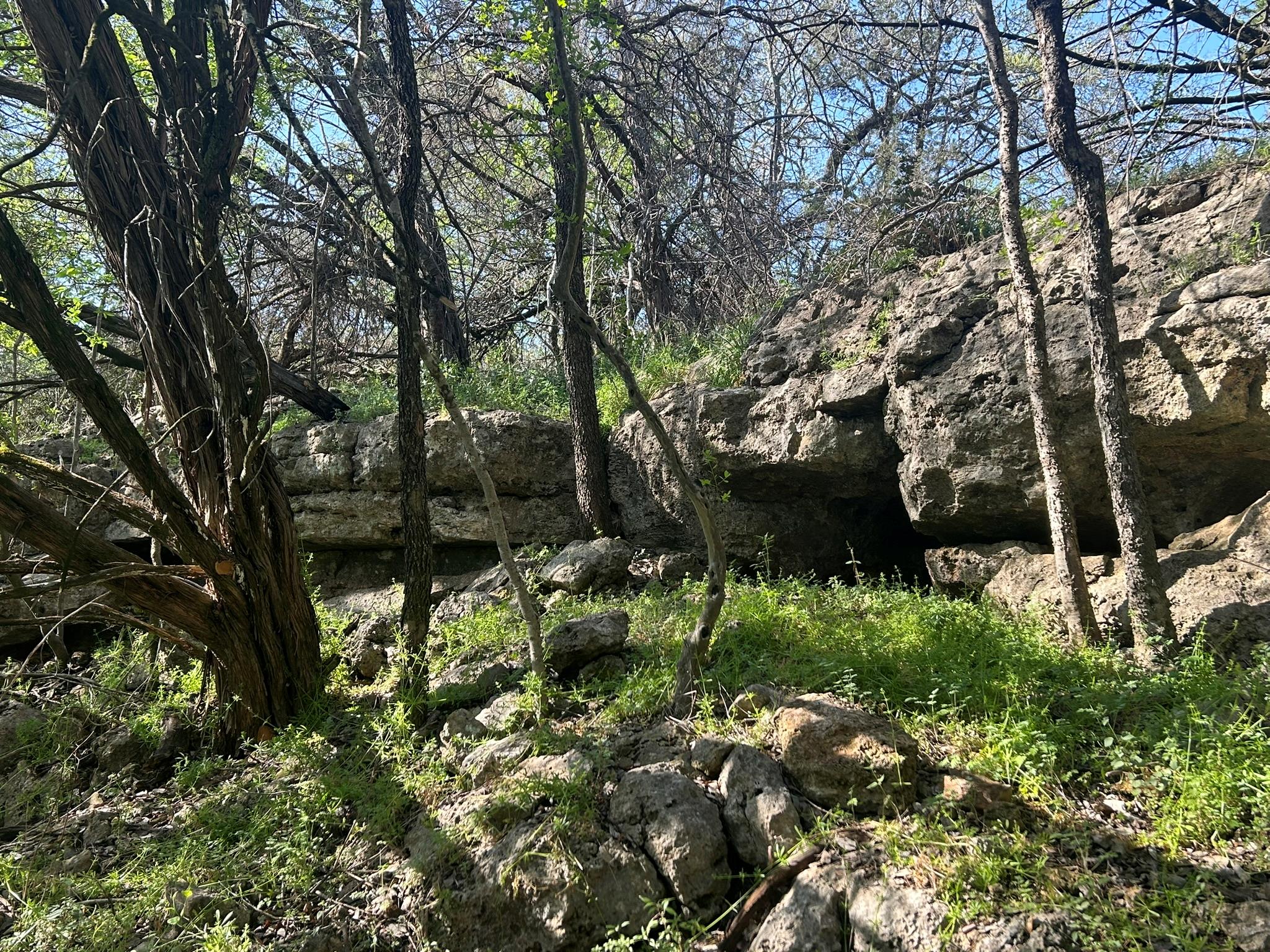 500 Owl Hollow Rd, San Marcos, TX 78666