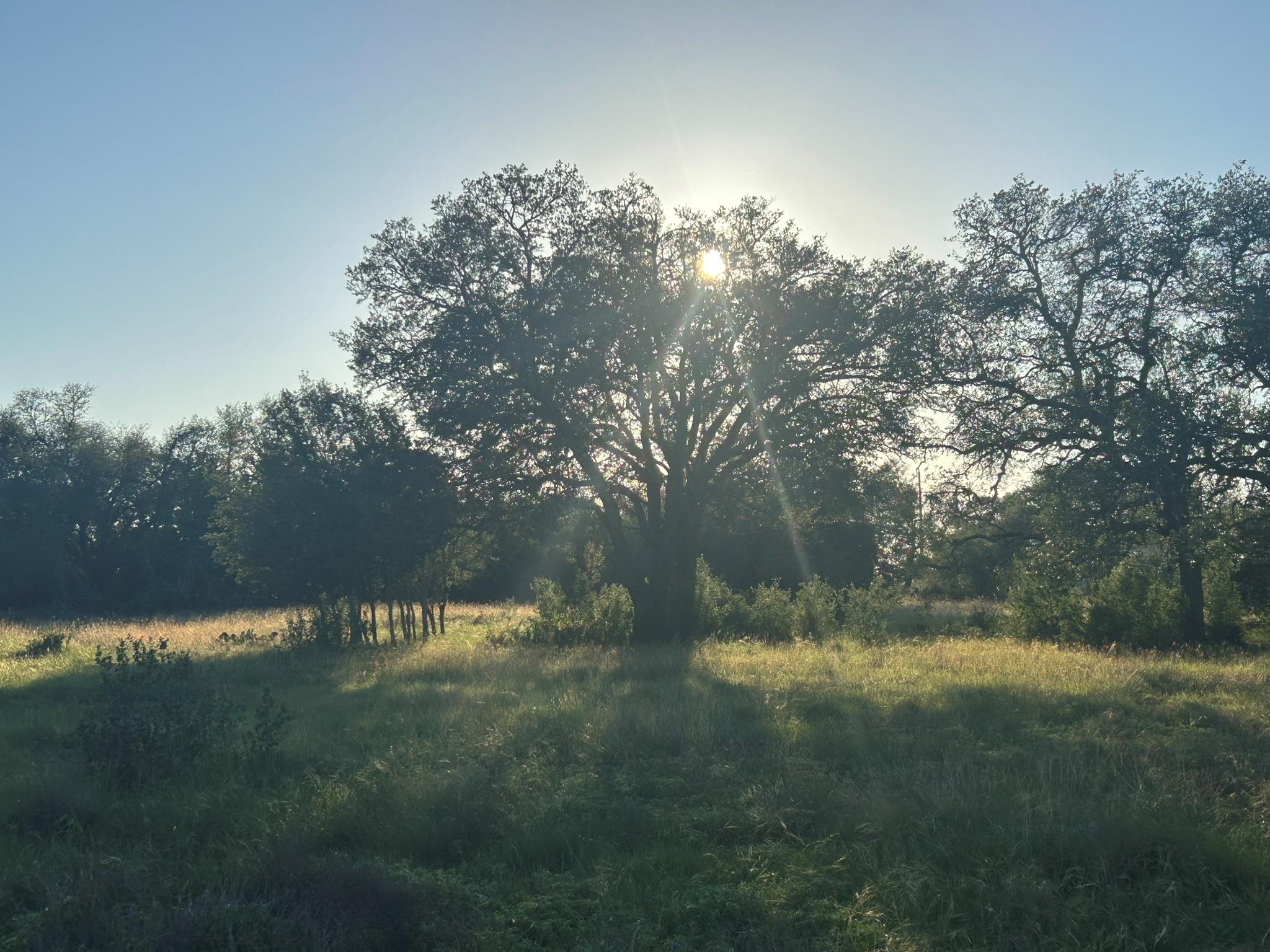 Lot 13 Legacy Hillls Dr, Johnson City, TX 78636
