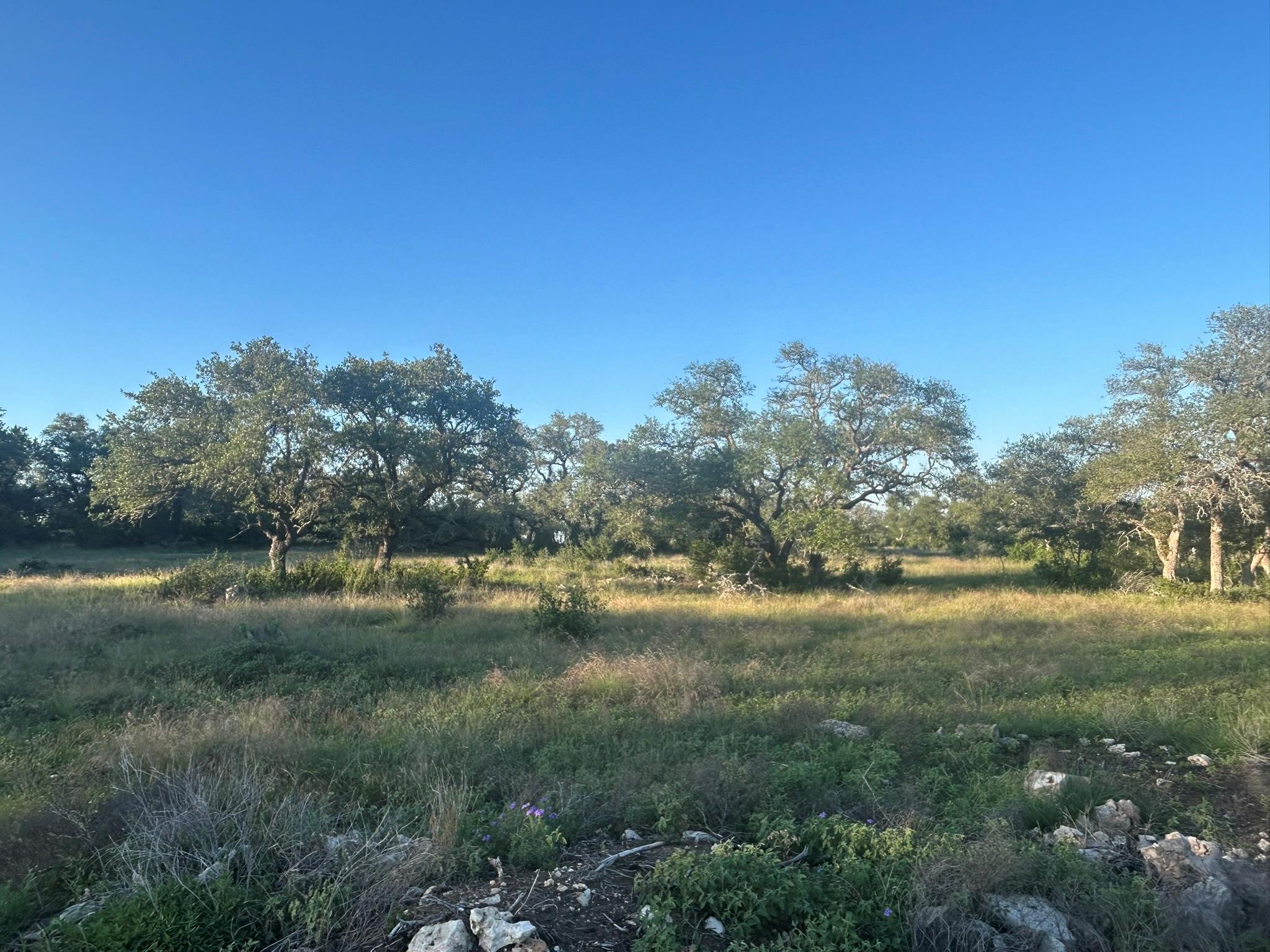 Lot 13 Legacy Hillls Dr, Johnson City, TX 78636