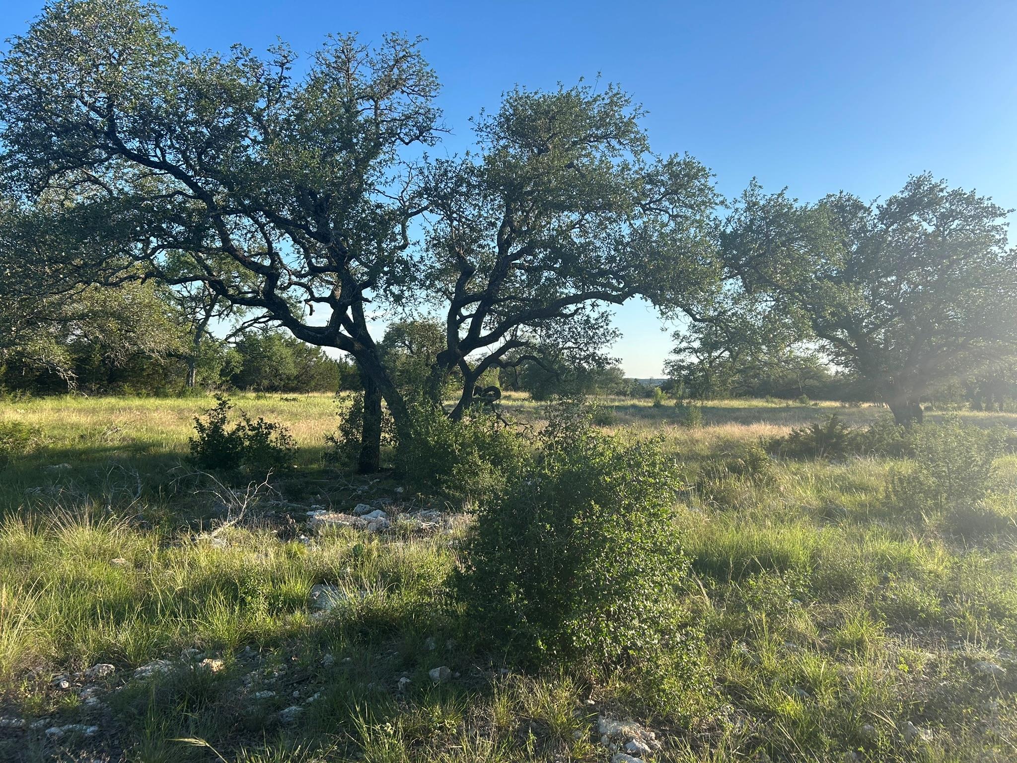 Lot 13 Legacy Hillls Dr, Johnson City, TX 78636