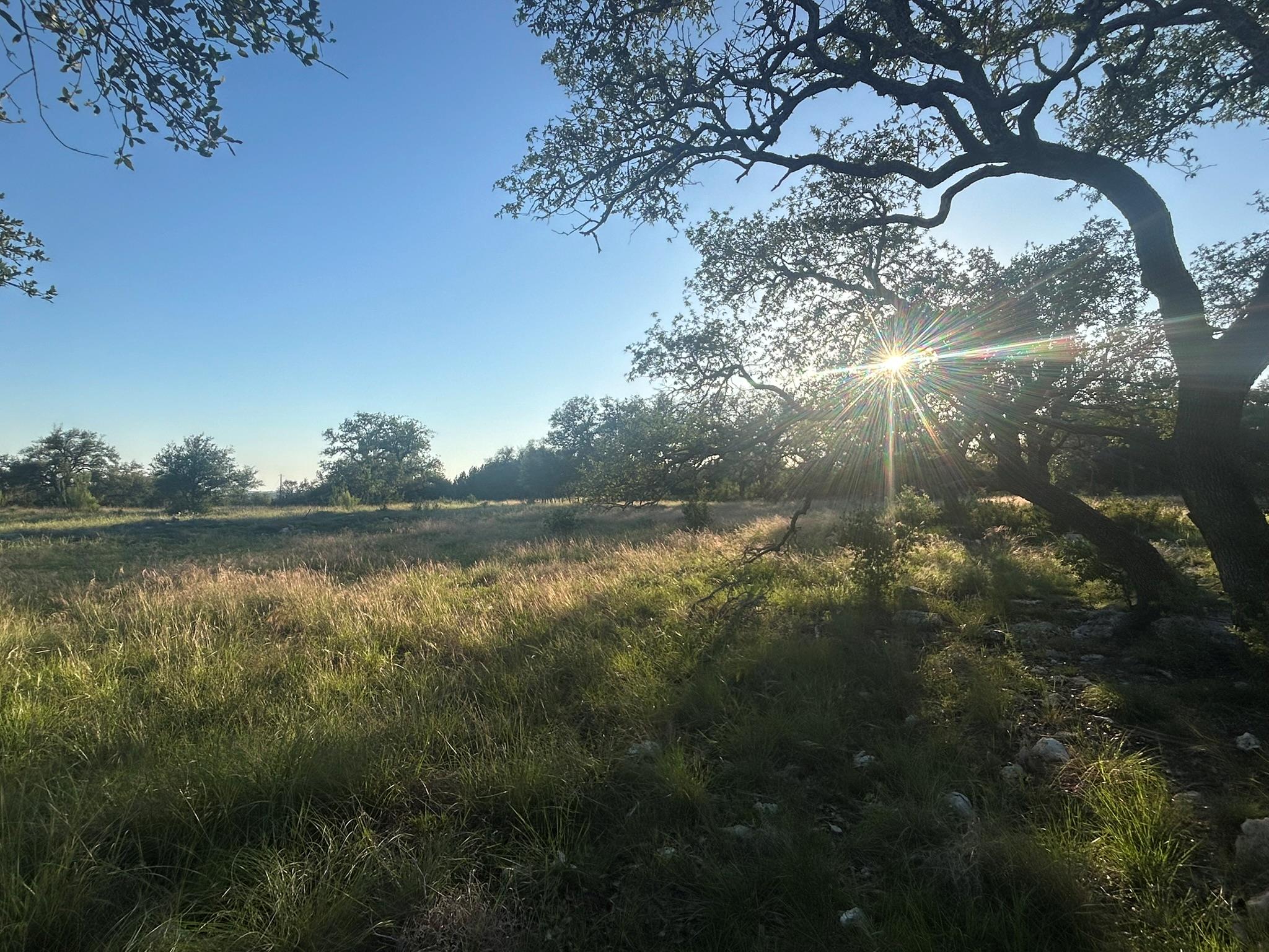 Lot 13 Legacy Hillls Dr, Johnson City, TX 78636