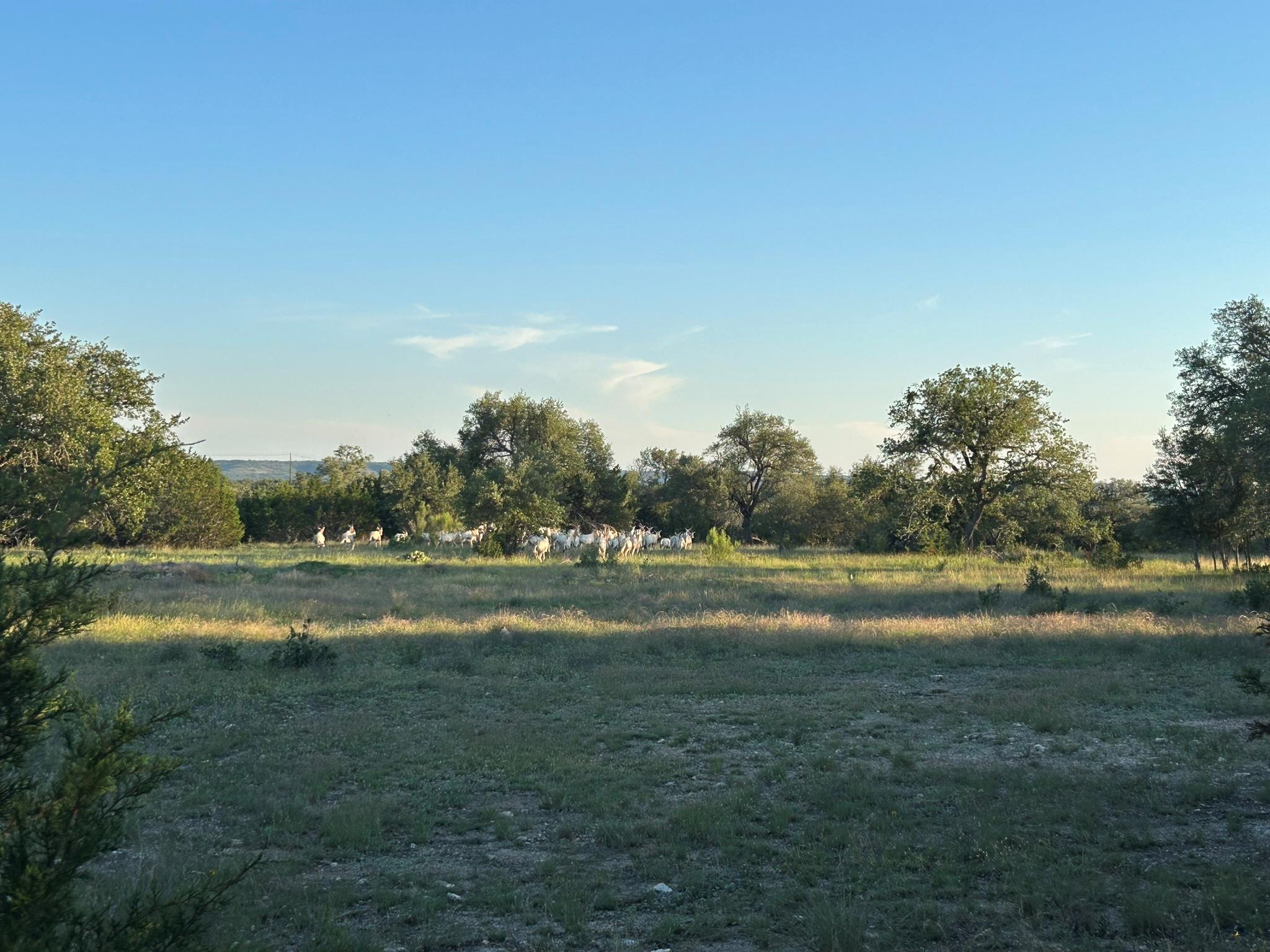 Lot 13 Legacy Hillls Dr, Johnson City, TX 78636