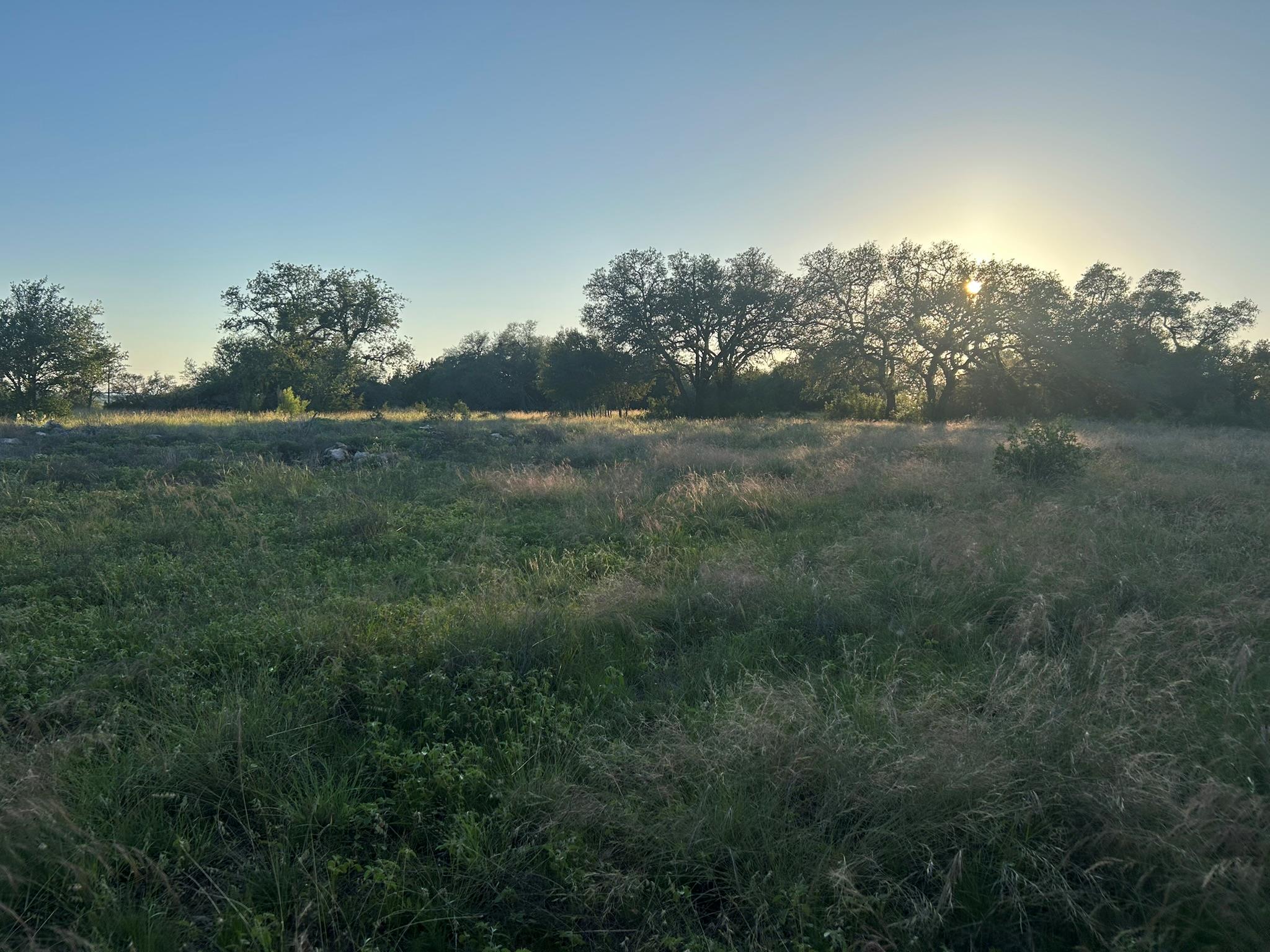 Lot 13 Legacy Hillls Dr, Johnson City, TX 78636
