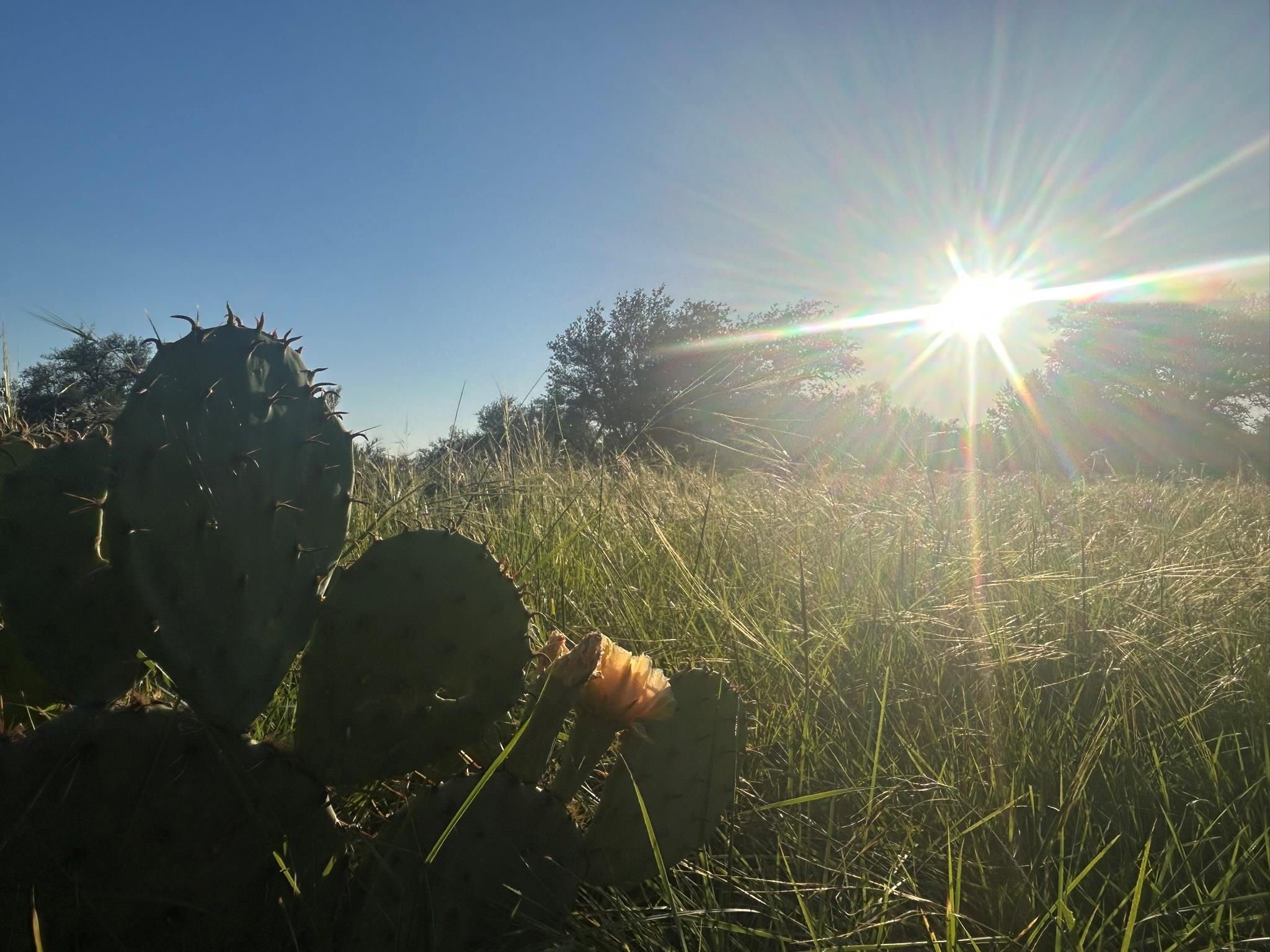Lot 13 Legacy Hillls Dr, Johnson City, TX 78636
