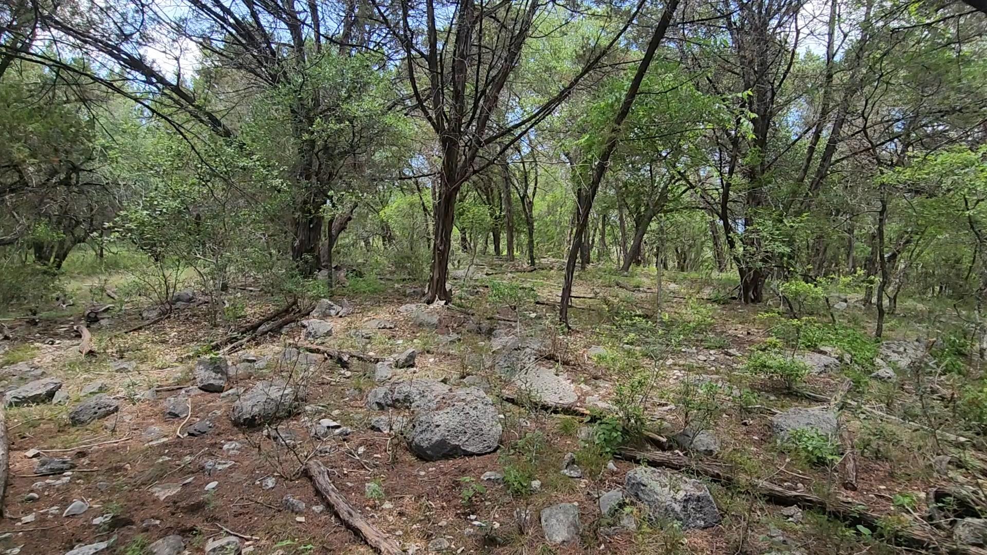 410 Owl Hollow Rd, San Marcos, TX 78666
