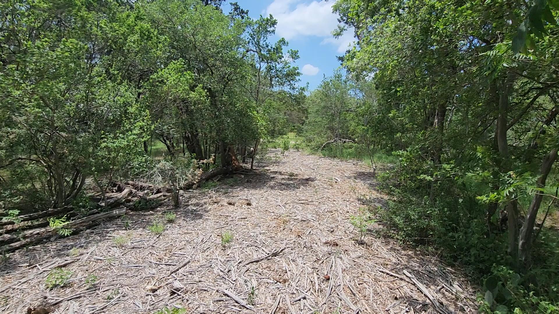 410 Owl Hollow Rd, San Marcos, TX 78666