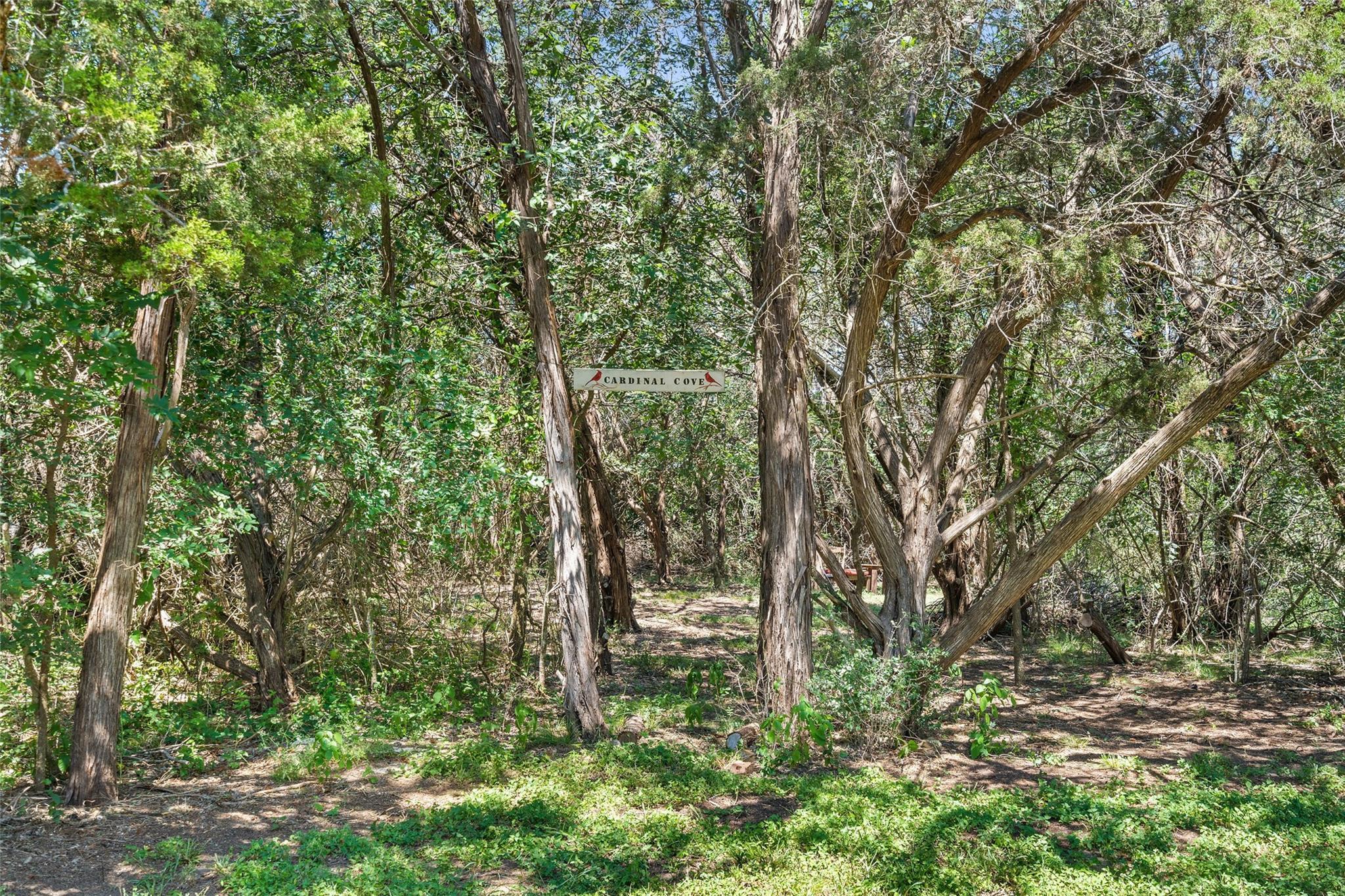 491 Lone Oak Rd, New Braunfels, TX 78132