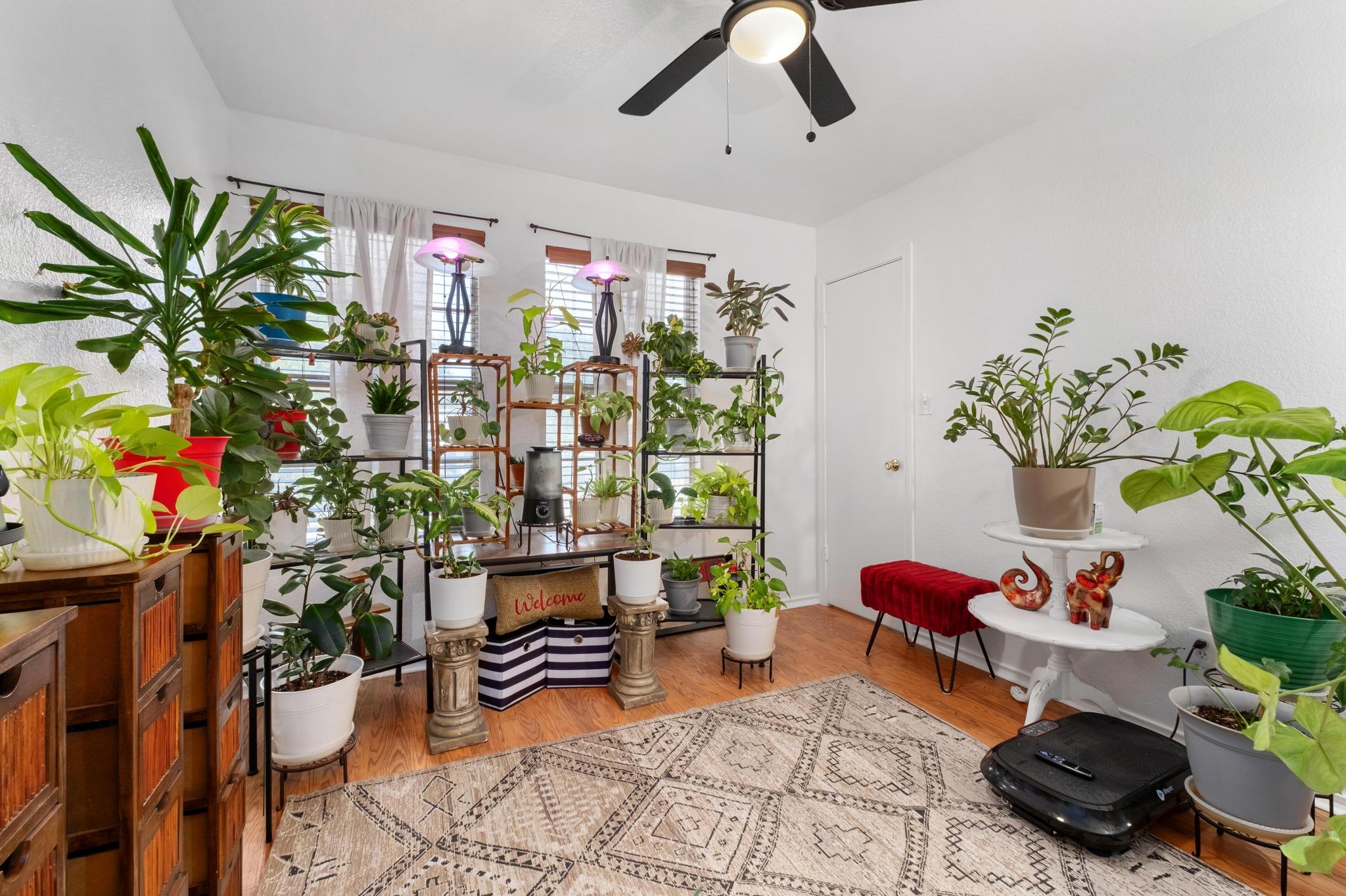 1184 Waller St, Austin, TX 78702