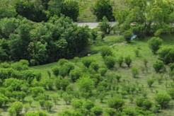 TBD Scott St, Kyle, TX 78640