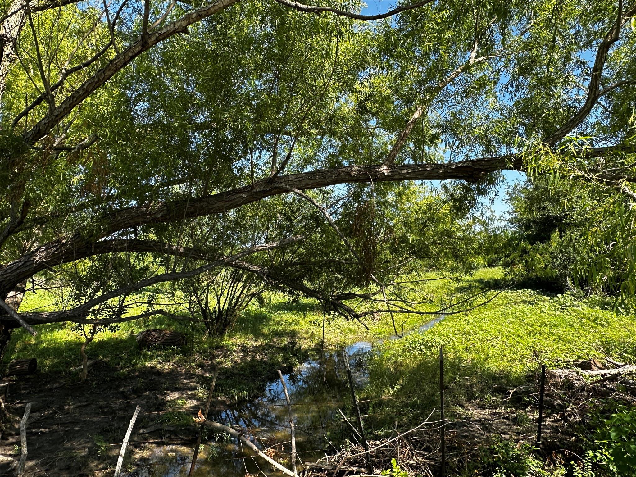 TBD Scott St, Kyle, TX 78640