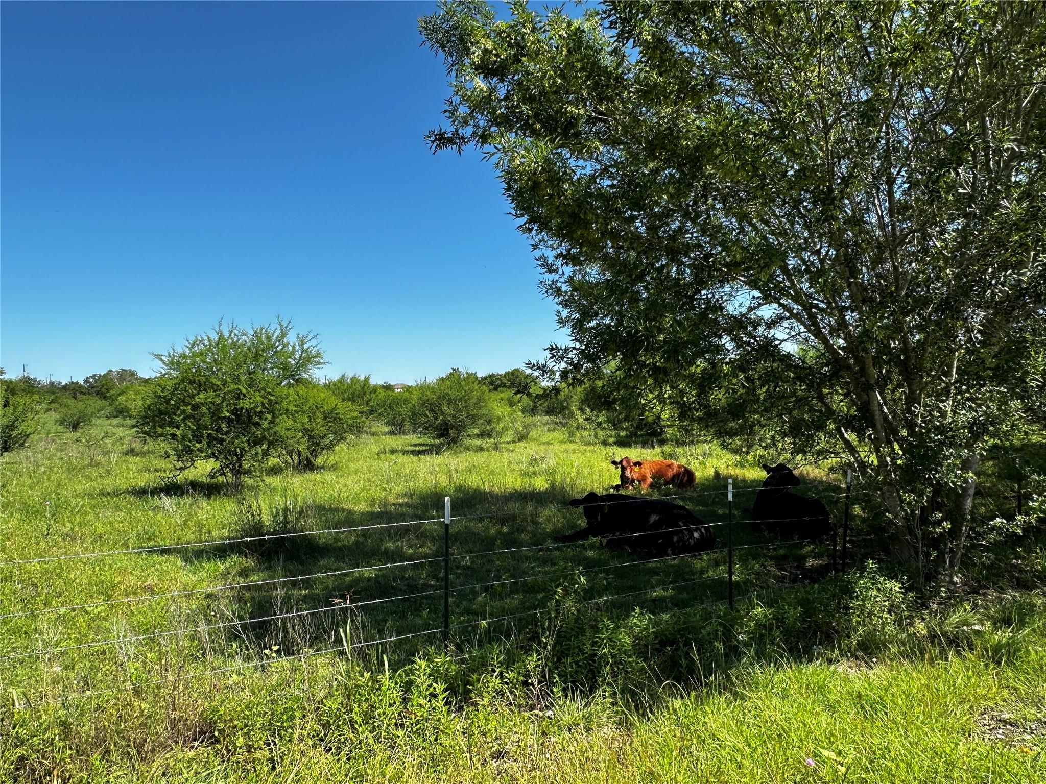 TBD Scott St, Kyle, TX 78640