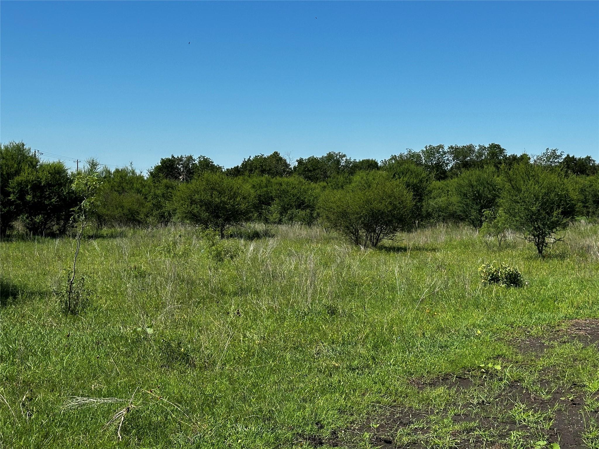 TBD Scott St, Kyle, TX 78640