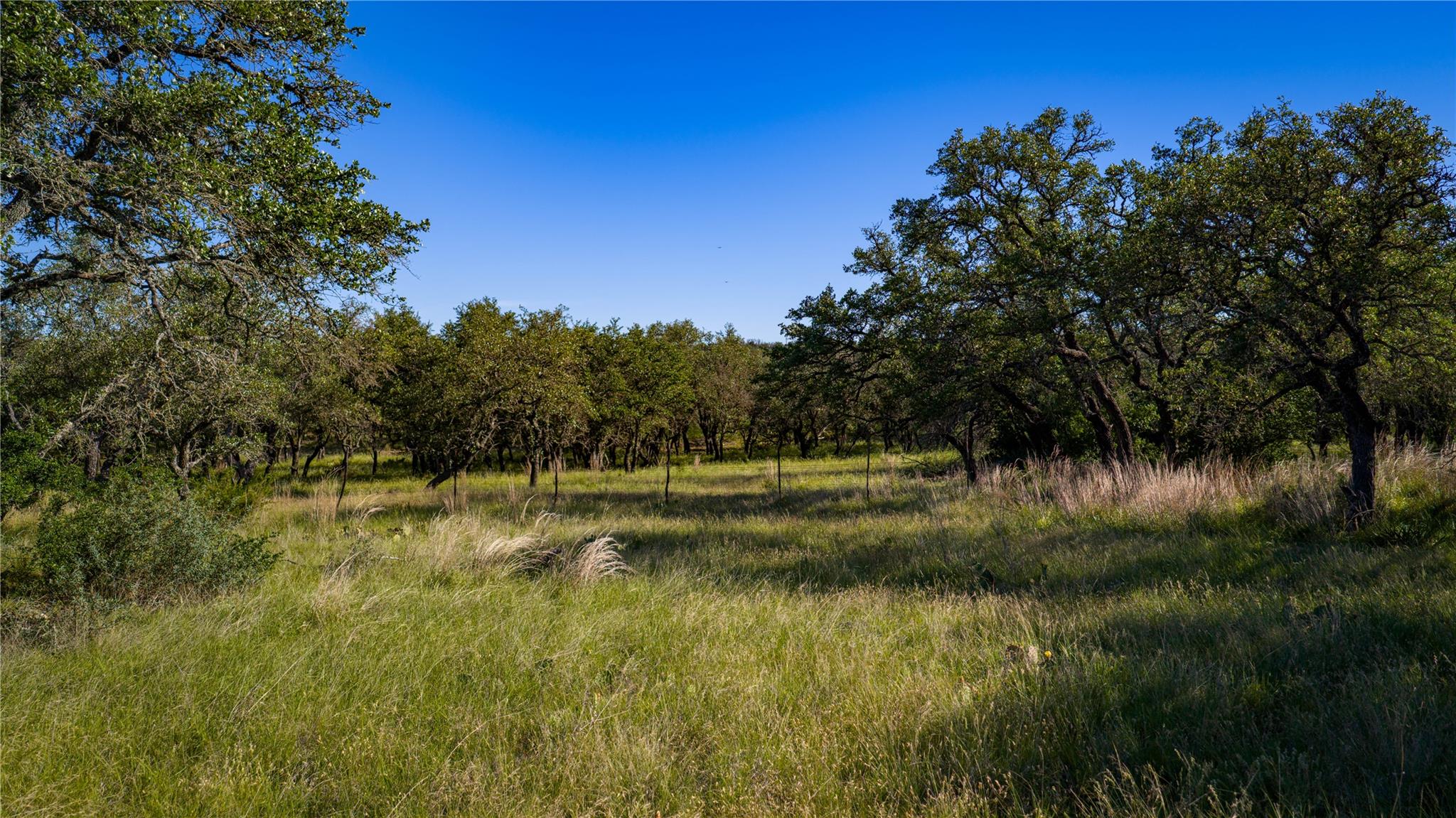3276 Link Rd, Doss, TX 78618