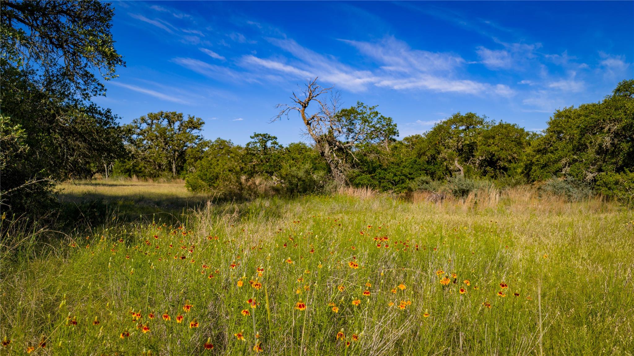 3276 Link Rd, Doss, TX 78618