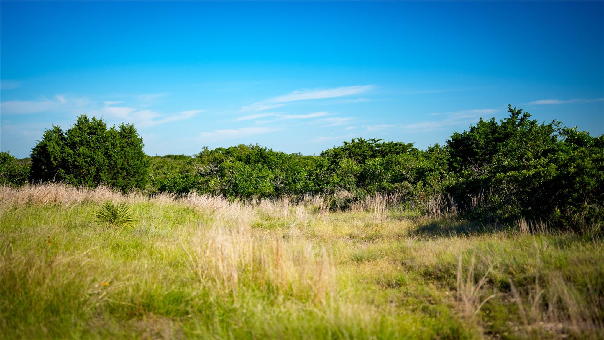 3276 Link Rd, Doss, TX 78618