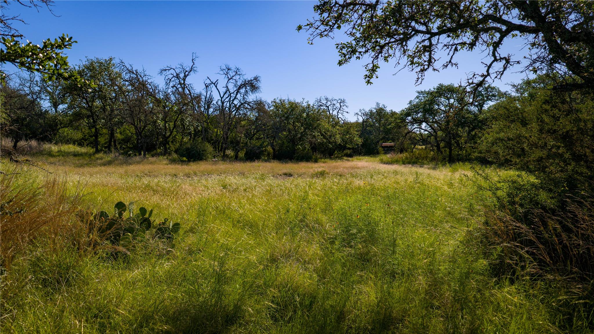 3276 Link Rd, Doss, TX 78618