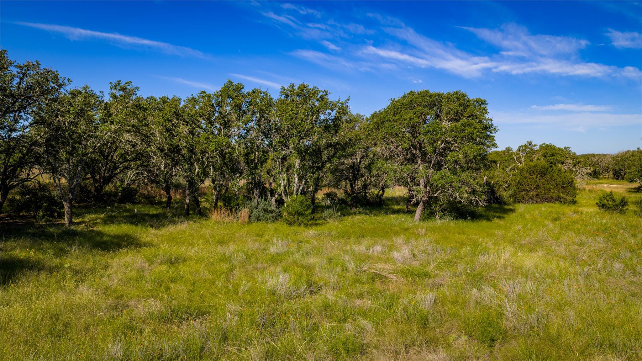 3276 Link Rd, Doss, TX 78618