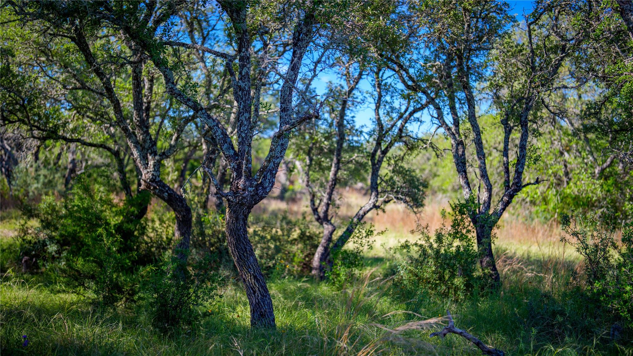 3276 Link Rd, Doss, TX 78618