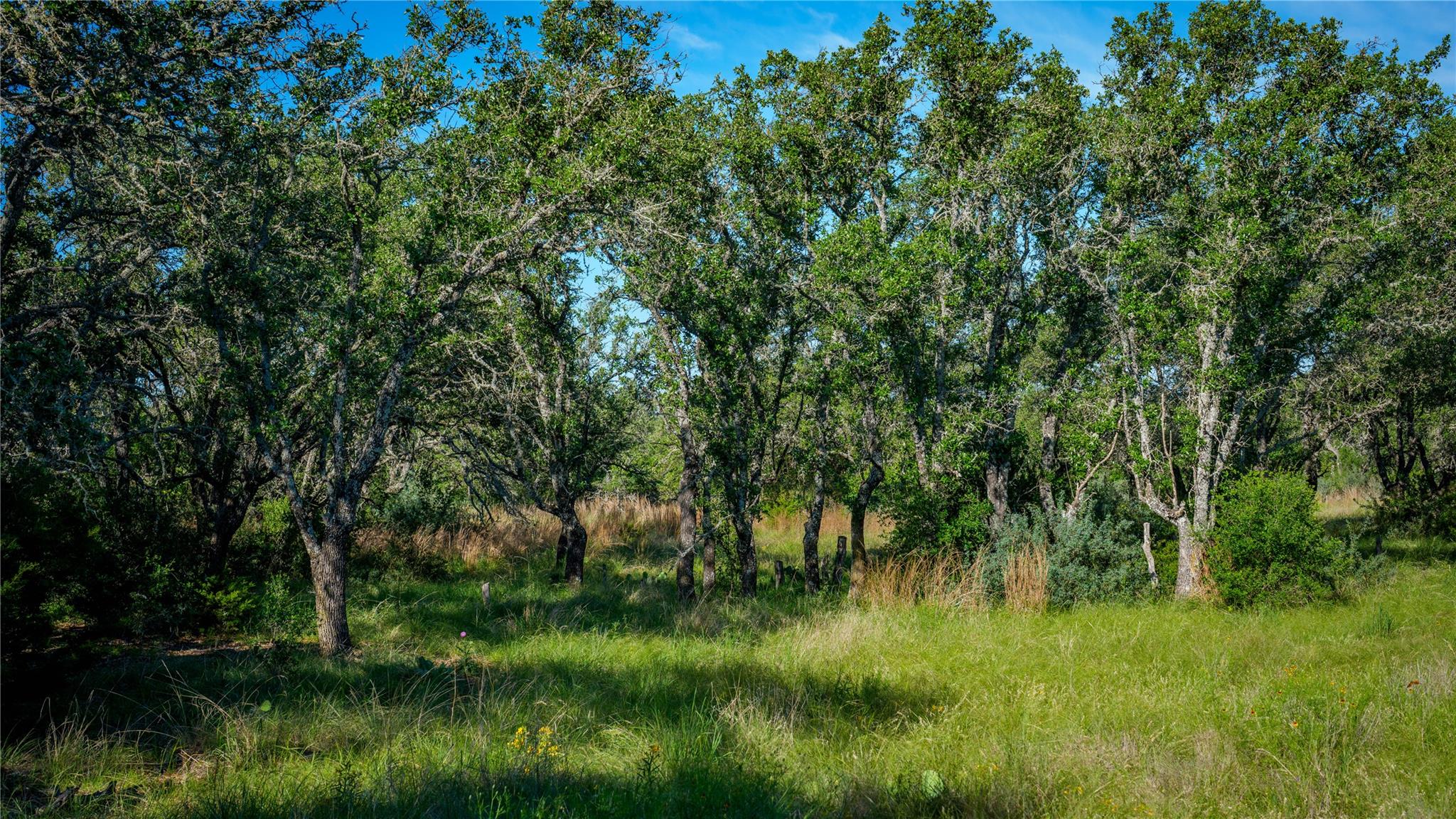 3276 Link Rd, Doss, TX 78618