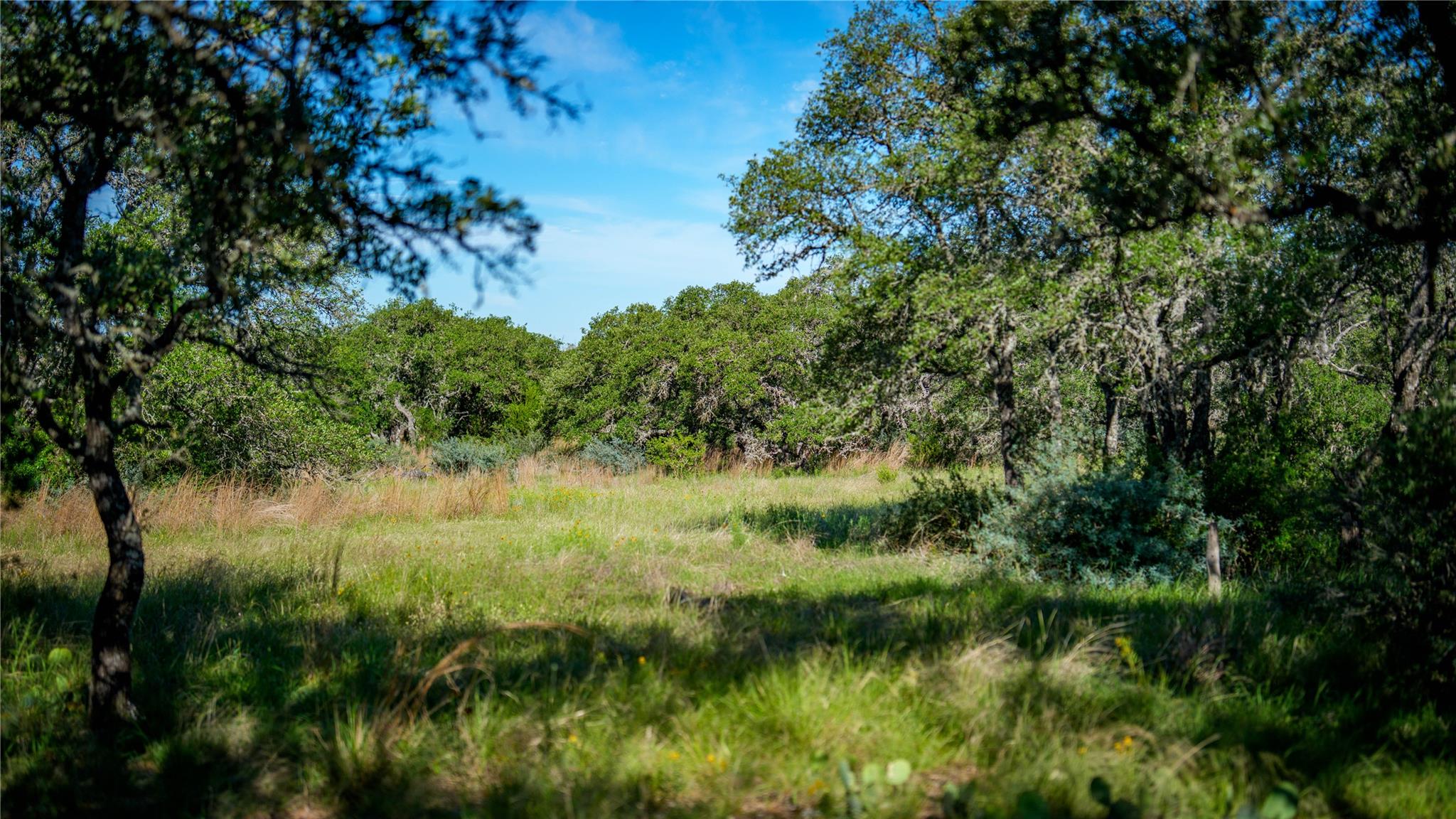 3276 Link Rd, Doss, TX 78618