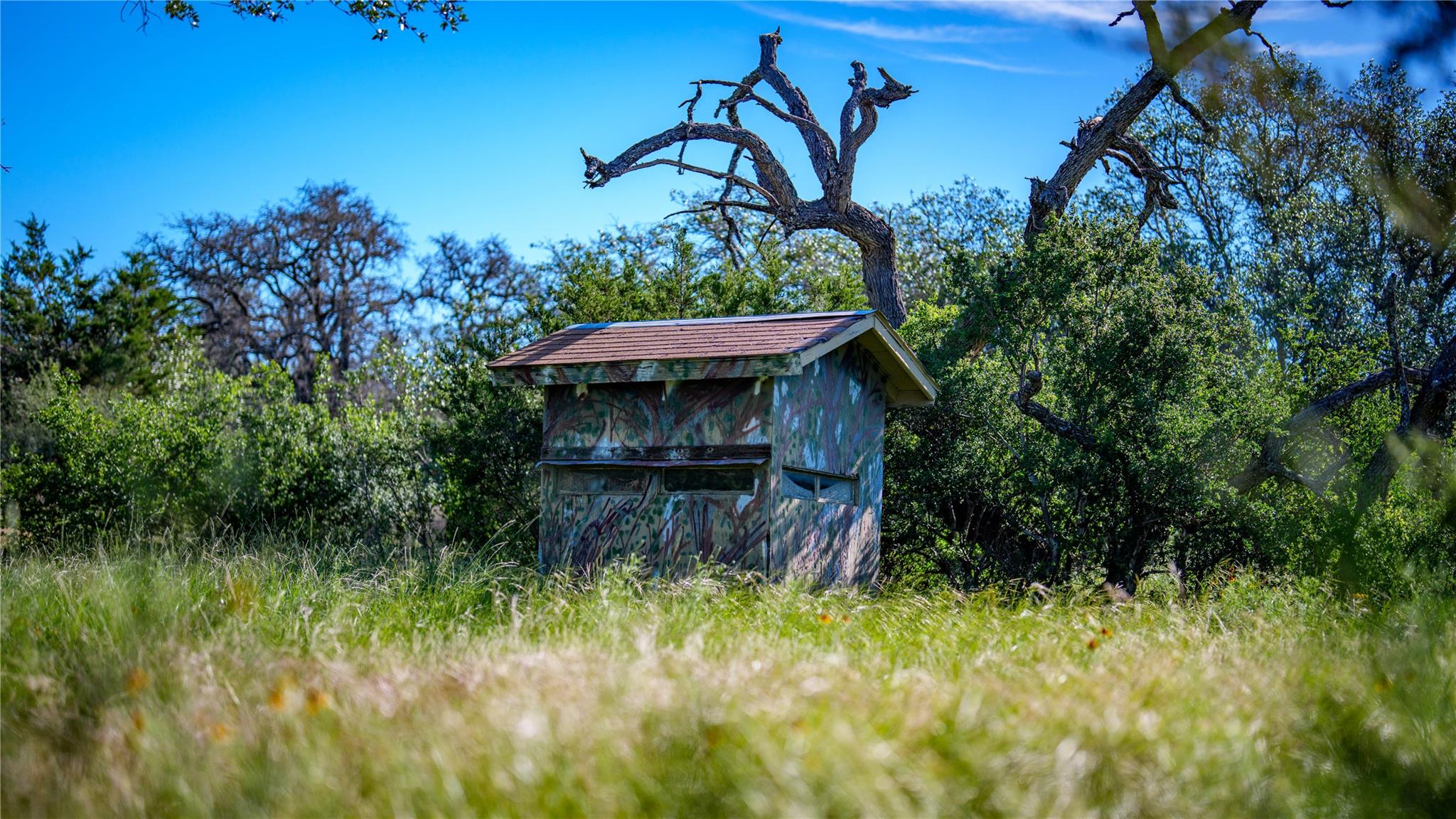3276 Link Rd, Doss, TX 78618