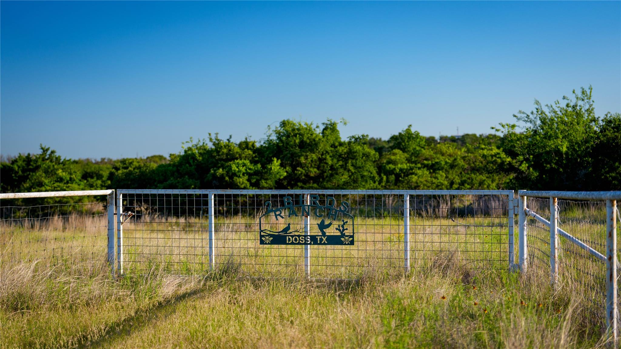 3276 Link Rd, Doss, TX 78618