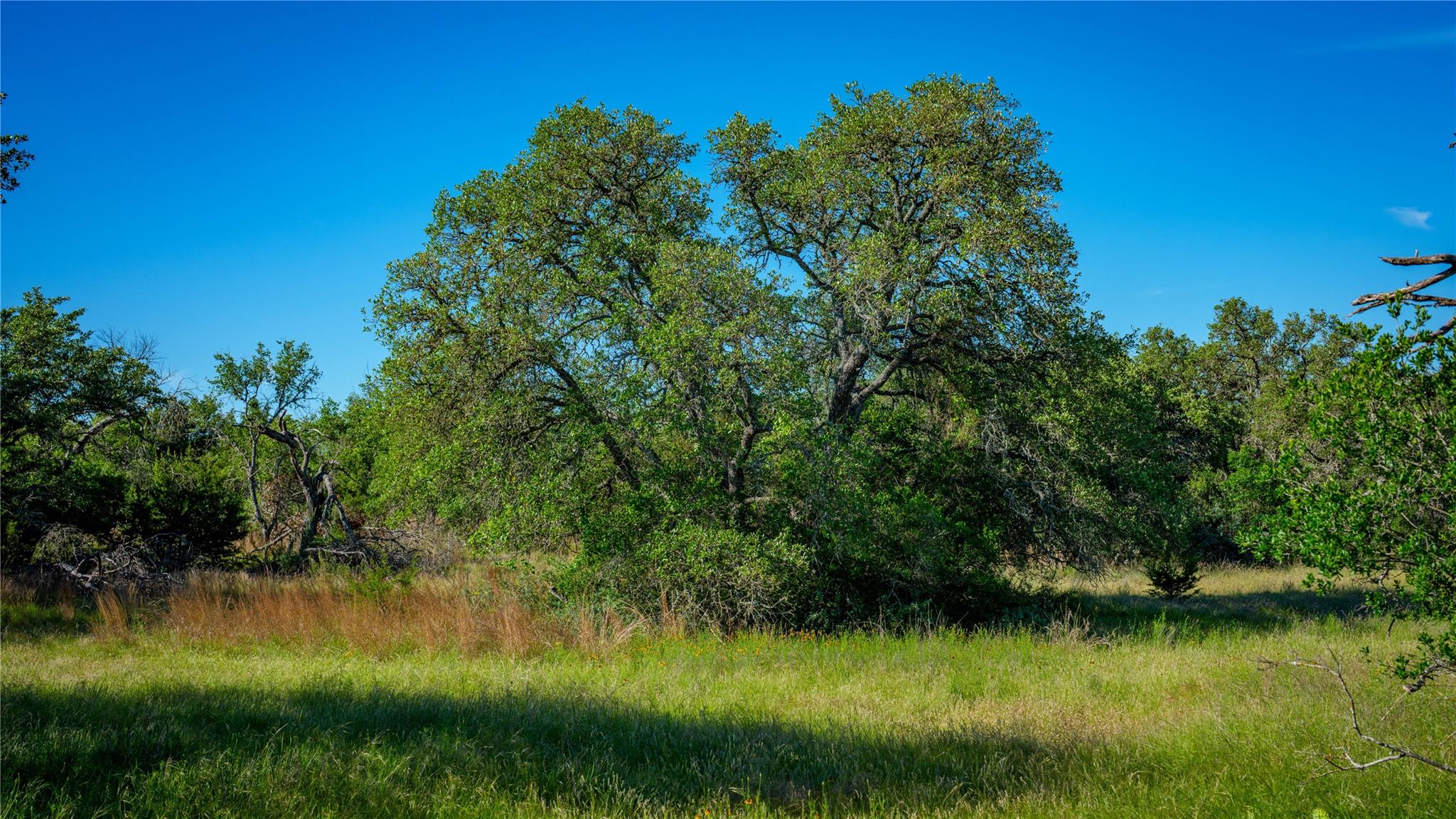 3276 Link Rd, Doss, TX 78618