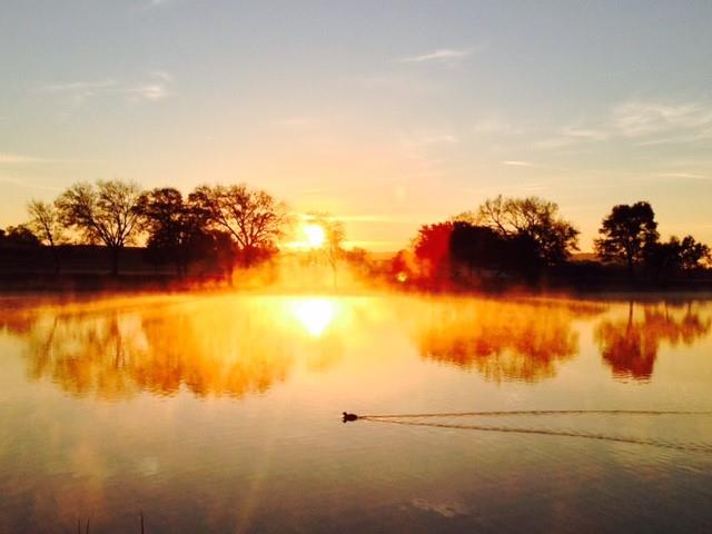 2001 Granite Cove Rd, Kingsland, TX 78639