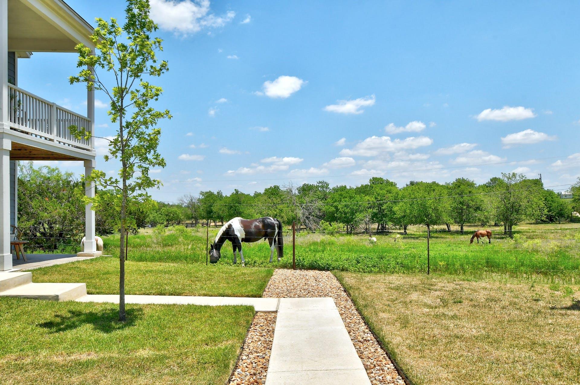 524 Ferrule Dr, Kyle, TX 78640