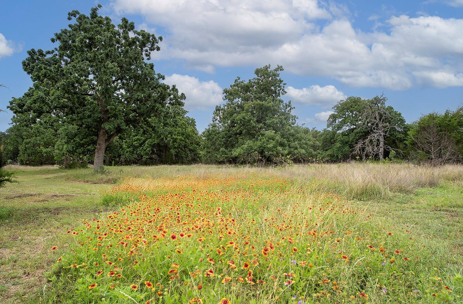 7075 RR 1869 # 1869, Liberty Hill, TX 78642